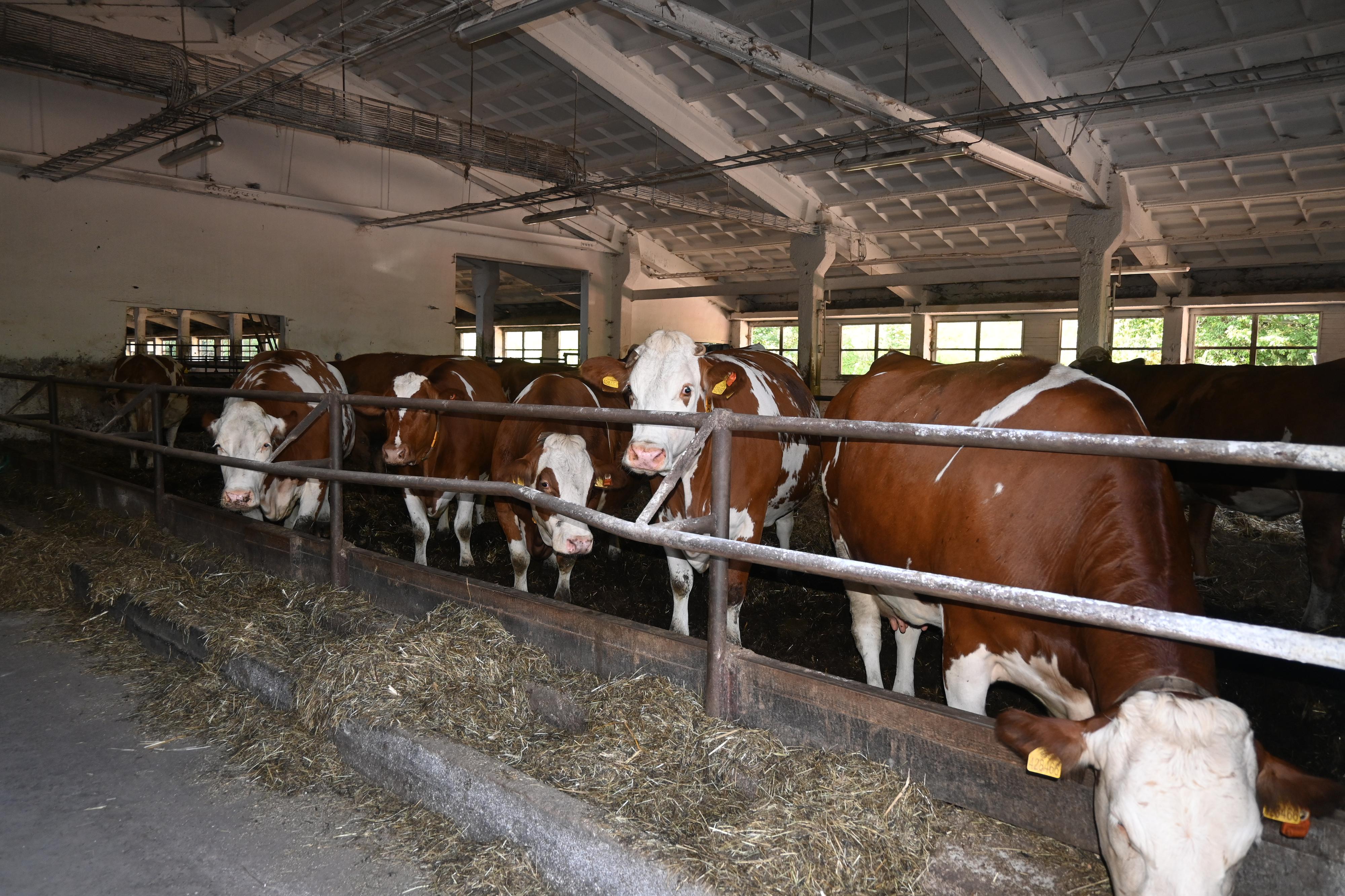 Farma Rudník s.r.o. foto 2