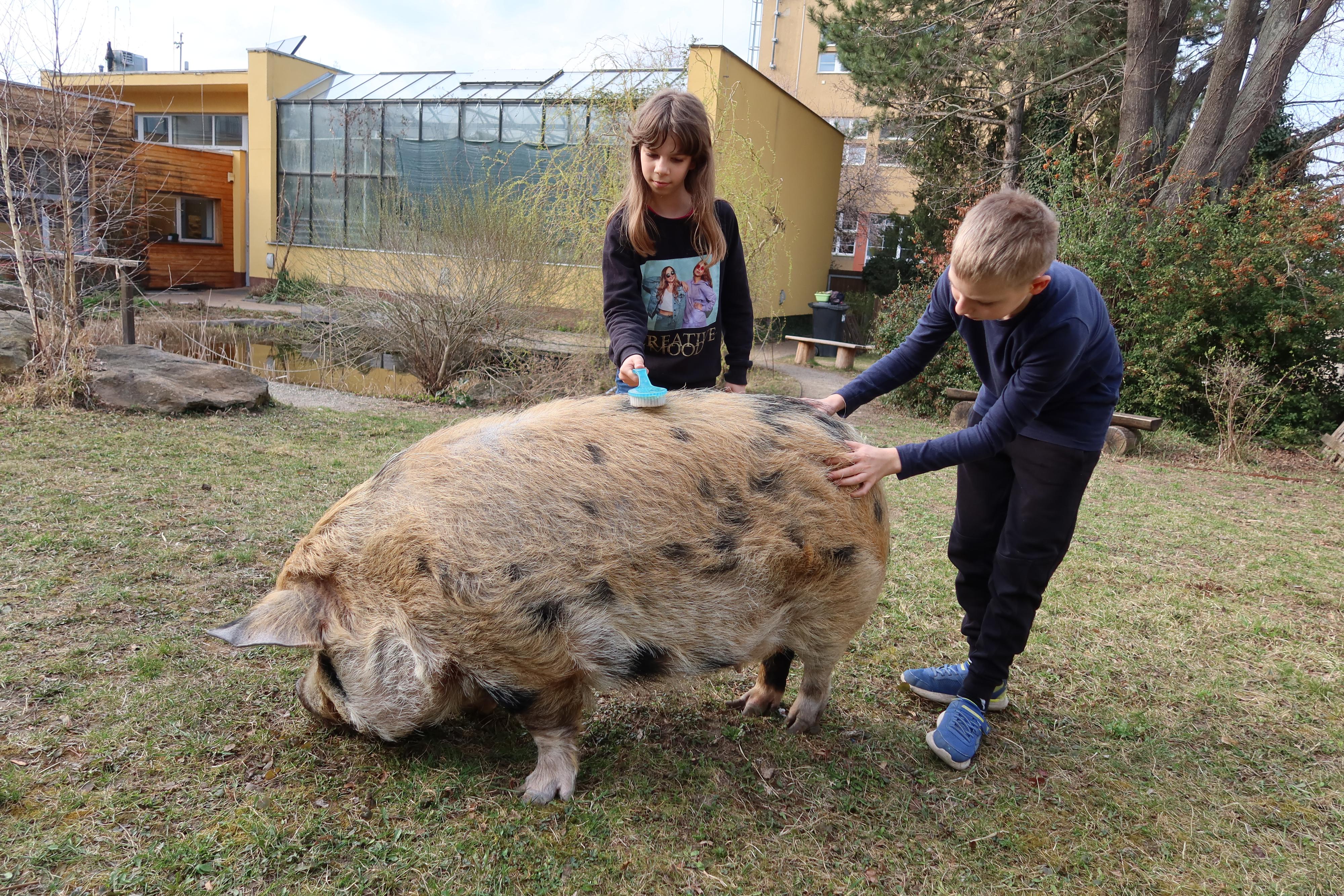 Přírodovědná stanice Kamenačky – pobočka SVČ Helceletka foto 2