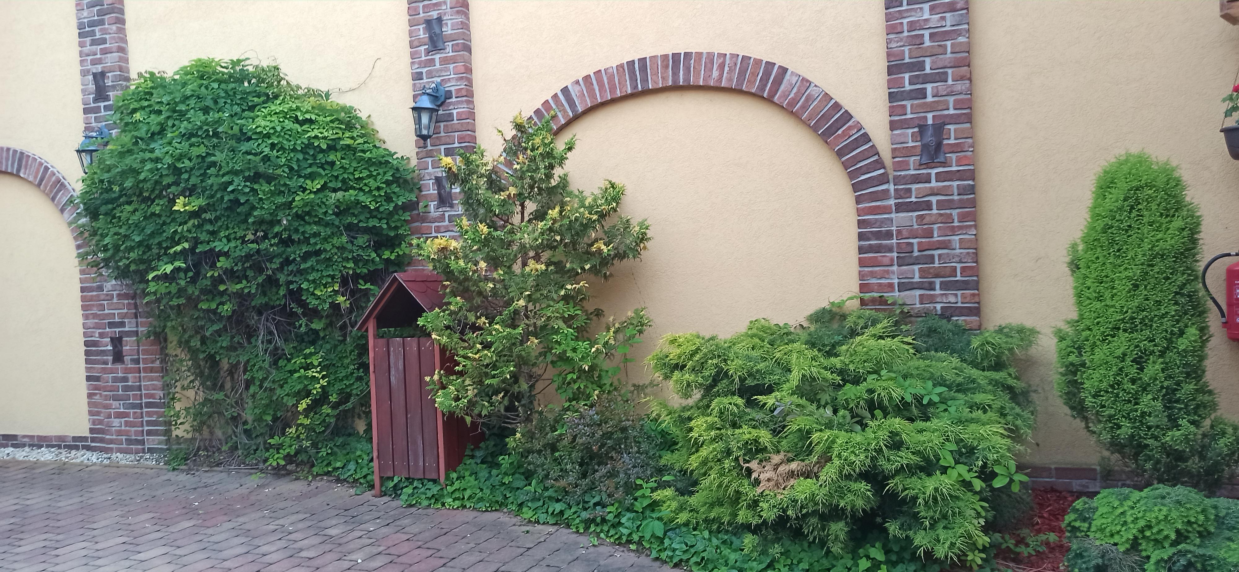 Zahrádka U Kulky foto 5