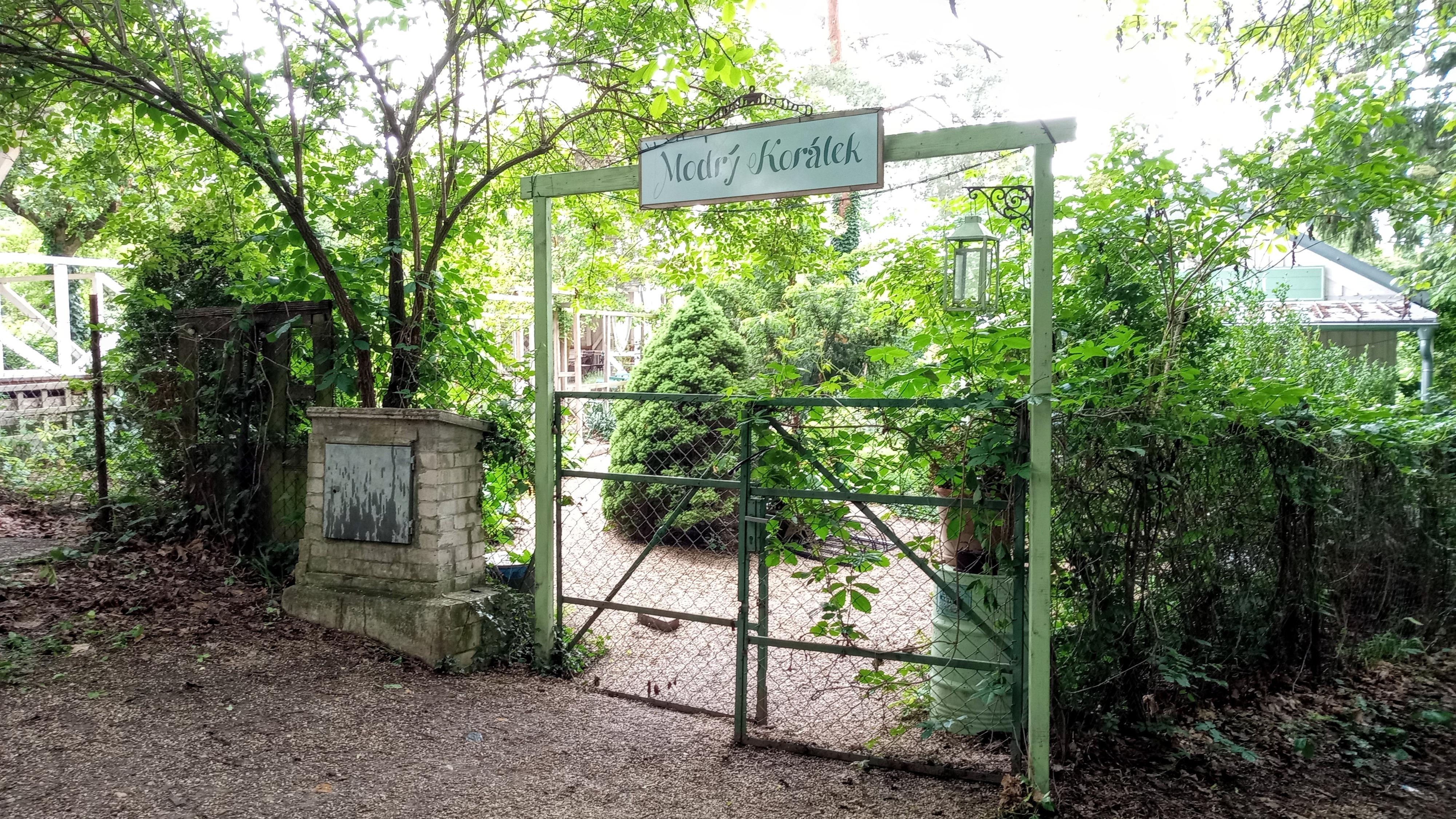 Kavárna Modrý Korálek foto 2