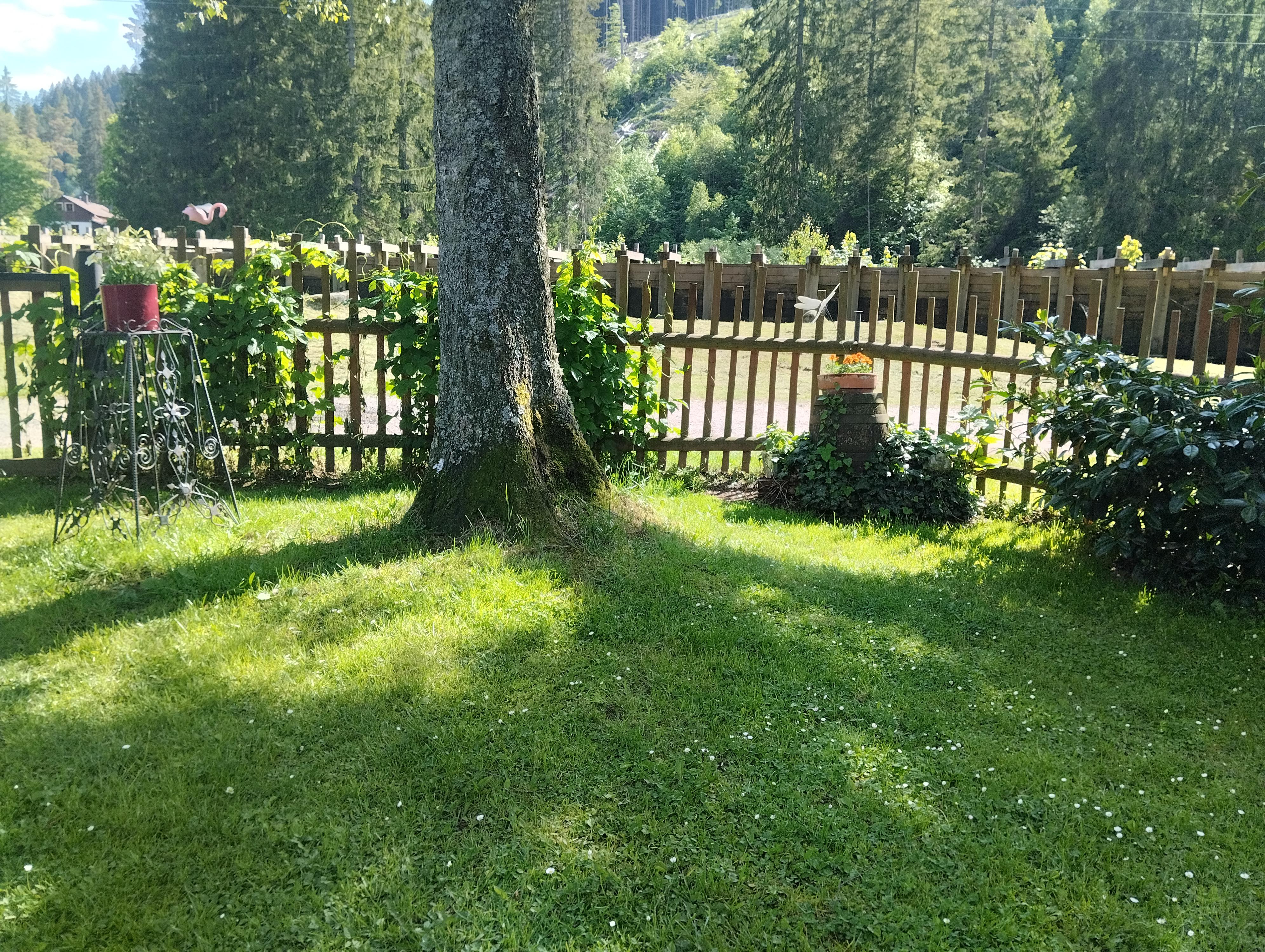 Apartmány U Smetanova smrku foto 4
