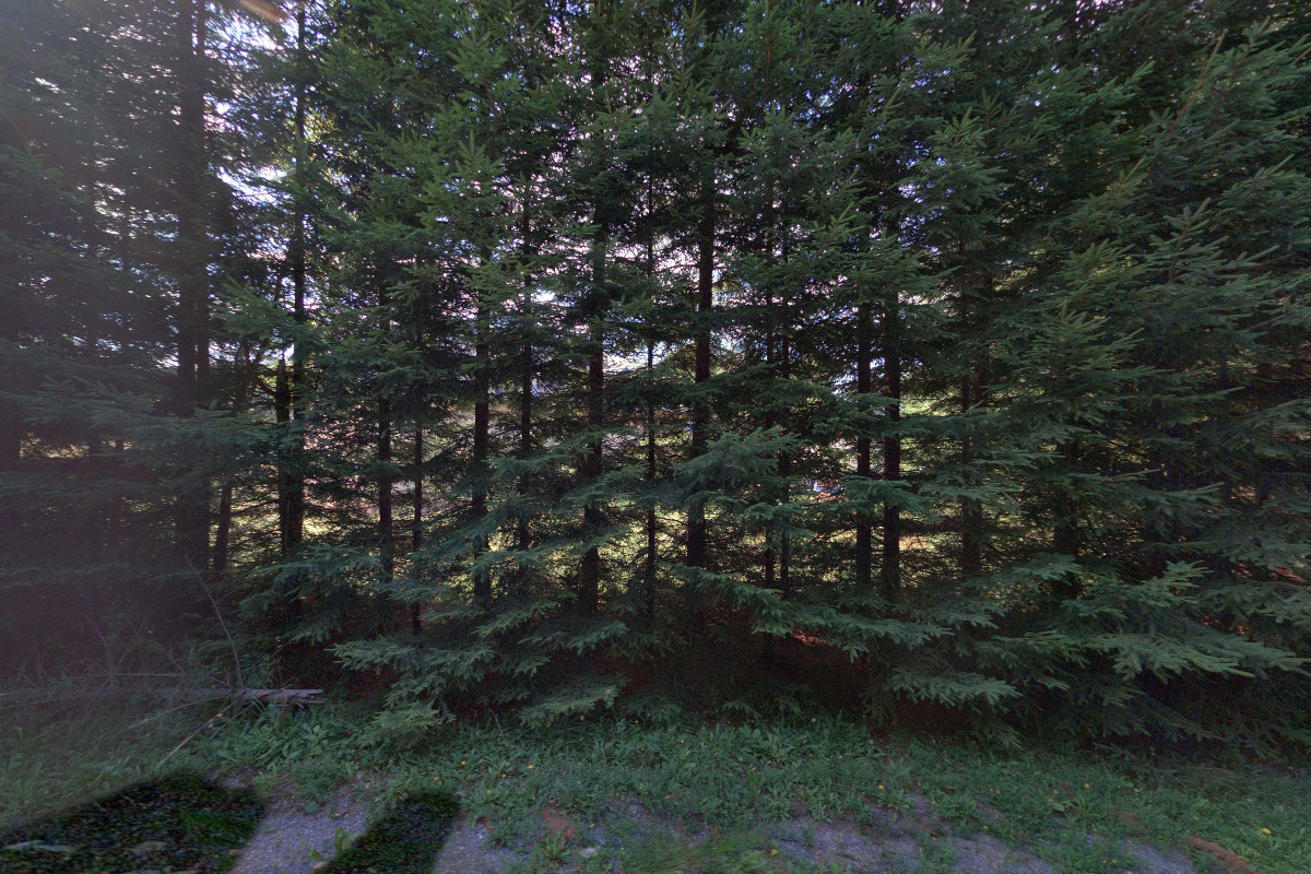 Paseky Apartments Resort