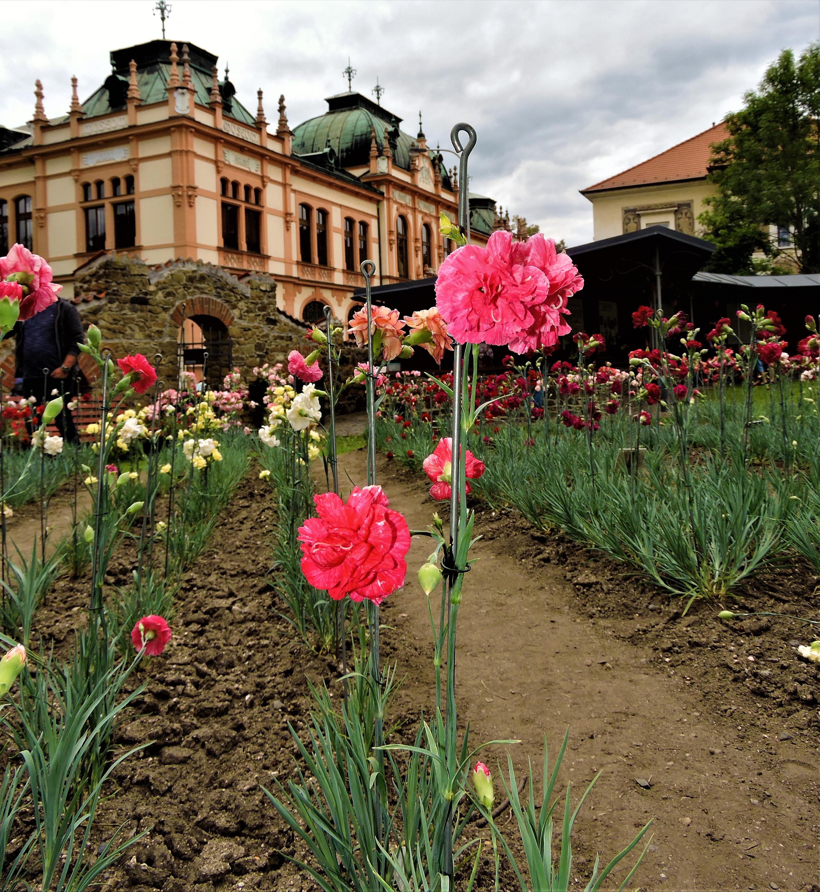 Vlastivědné muzeum Dr. Hostaše v Klatovech foto 5
