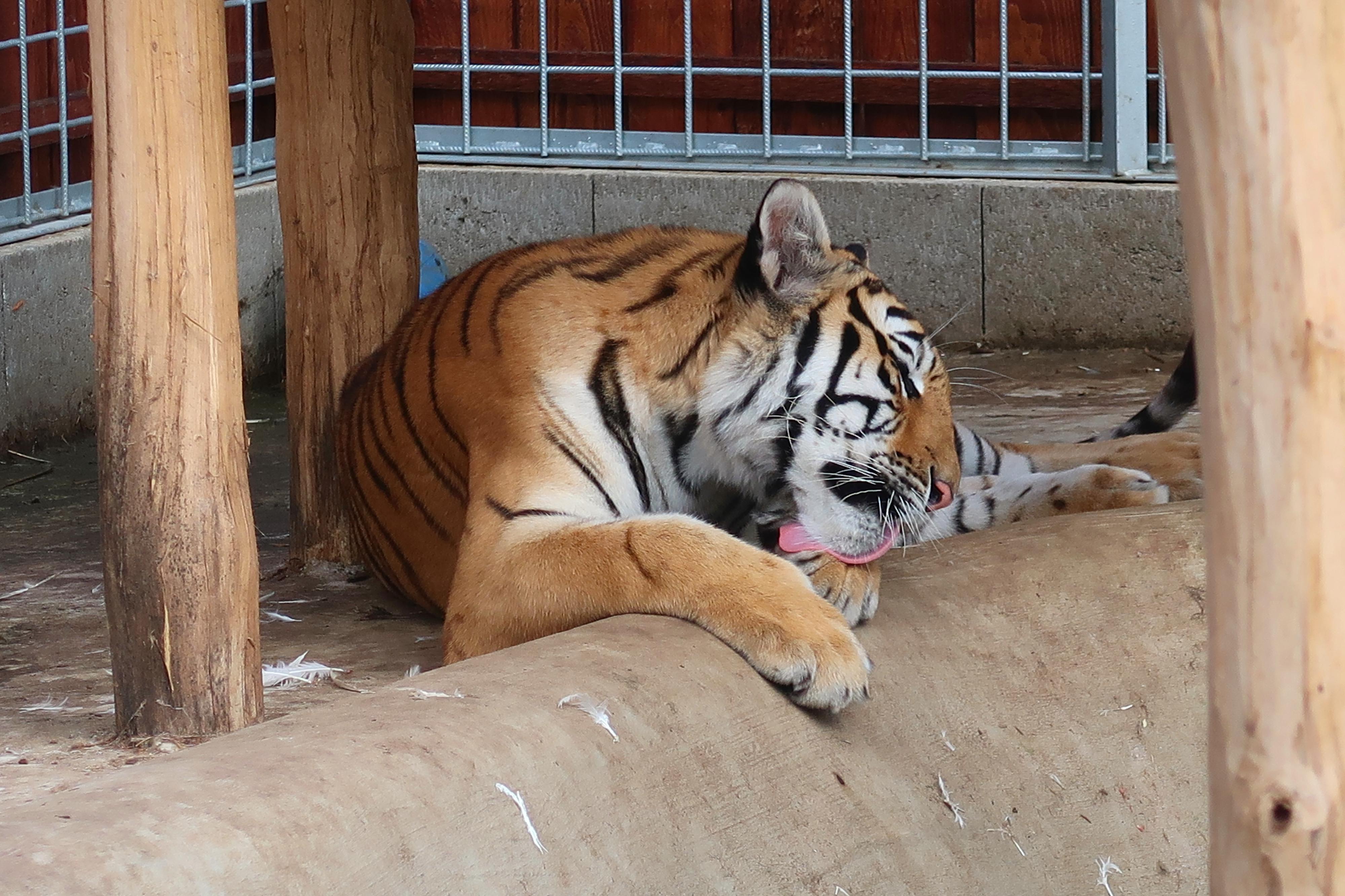 Zoopark Olovnice foto 3