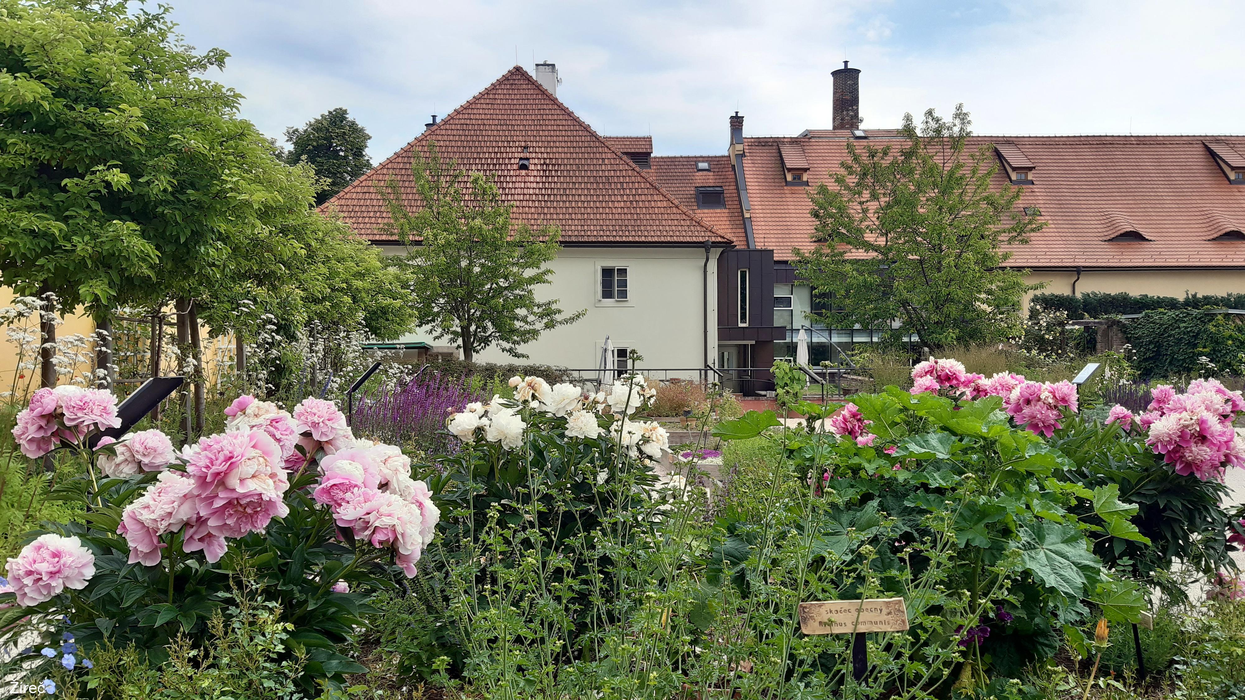 Bylinková zahrada Josefa Kamela