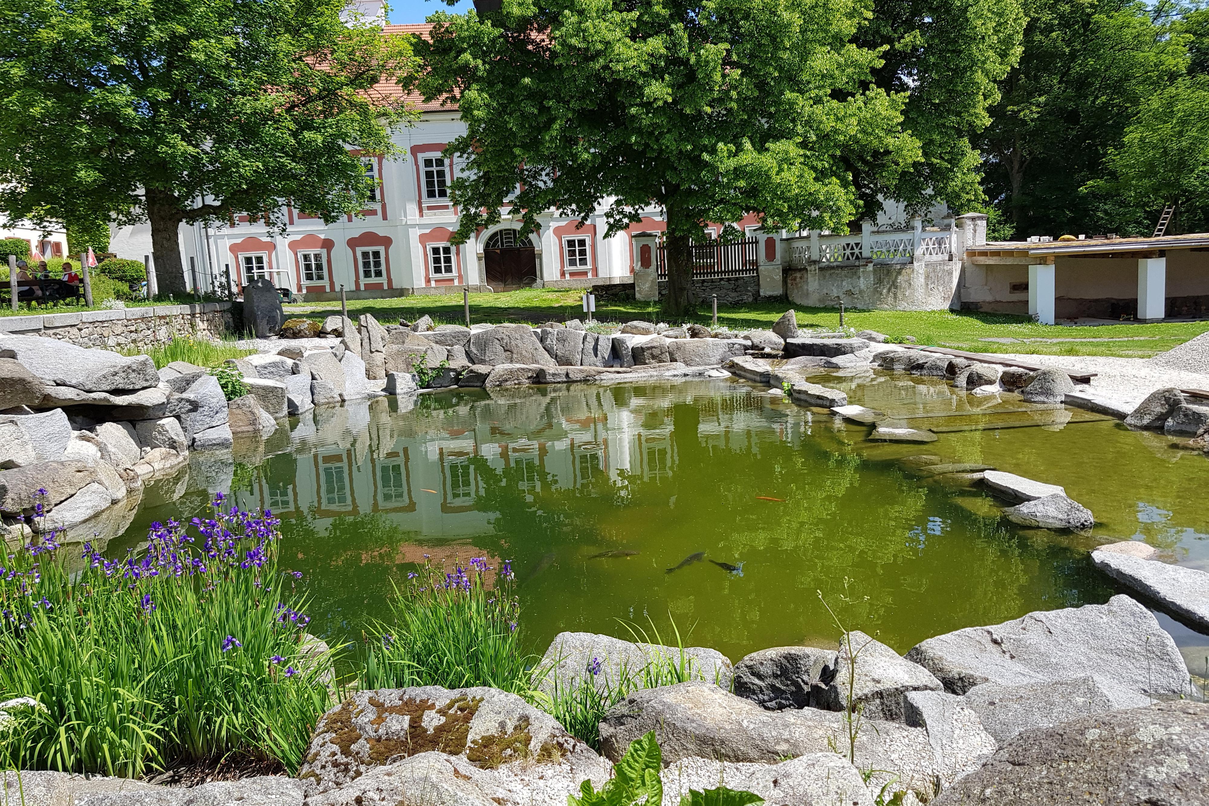 Zámek Mlázovy foto 6