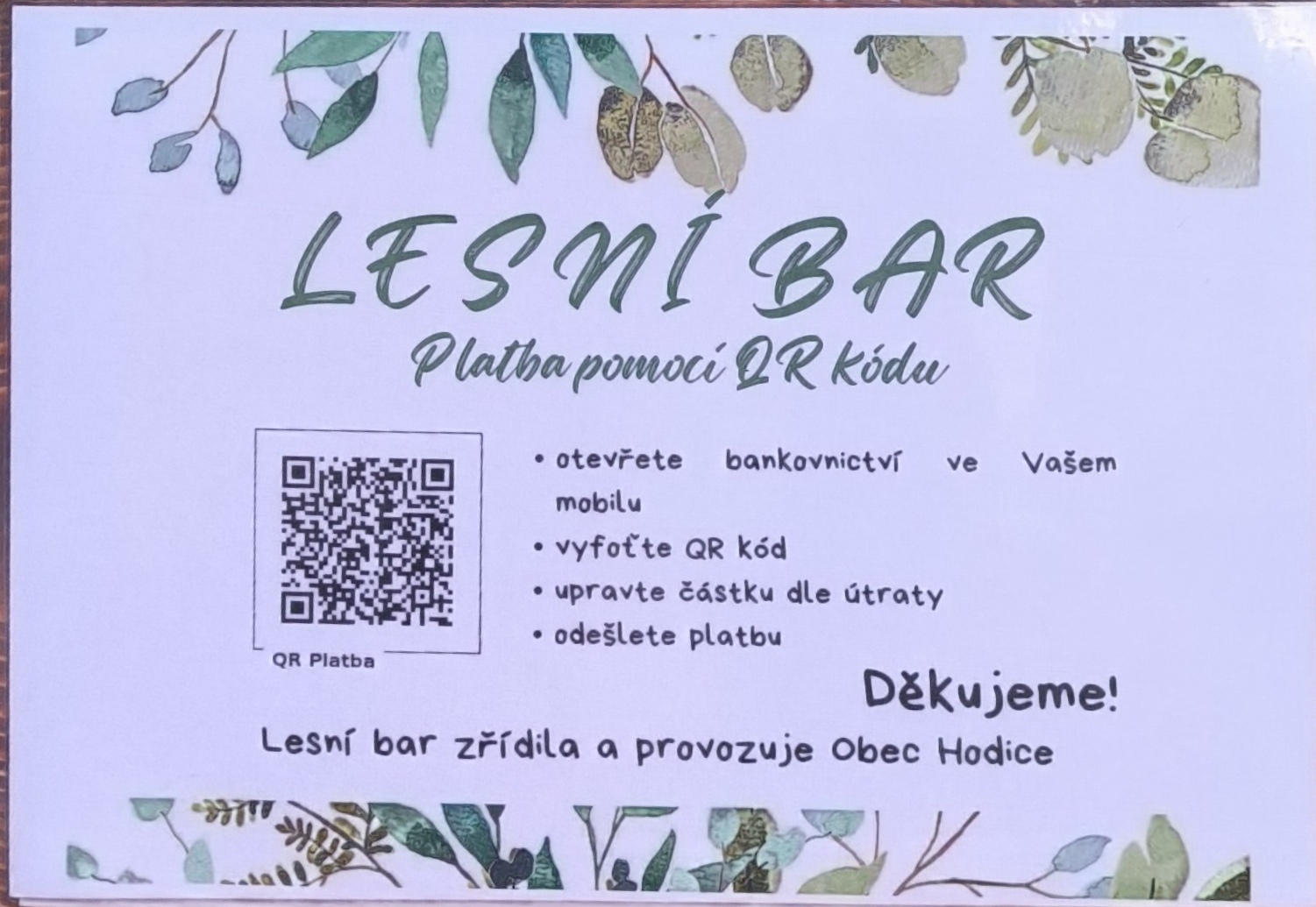 Lesní bar Pod Kratiznou foto 6