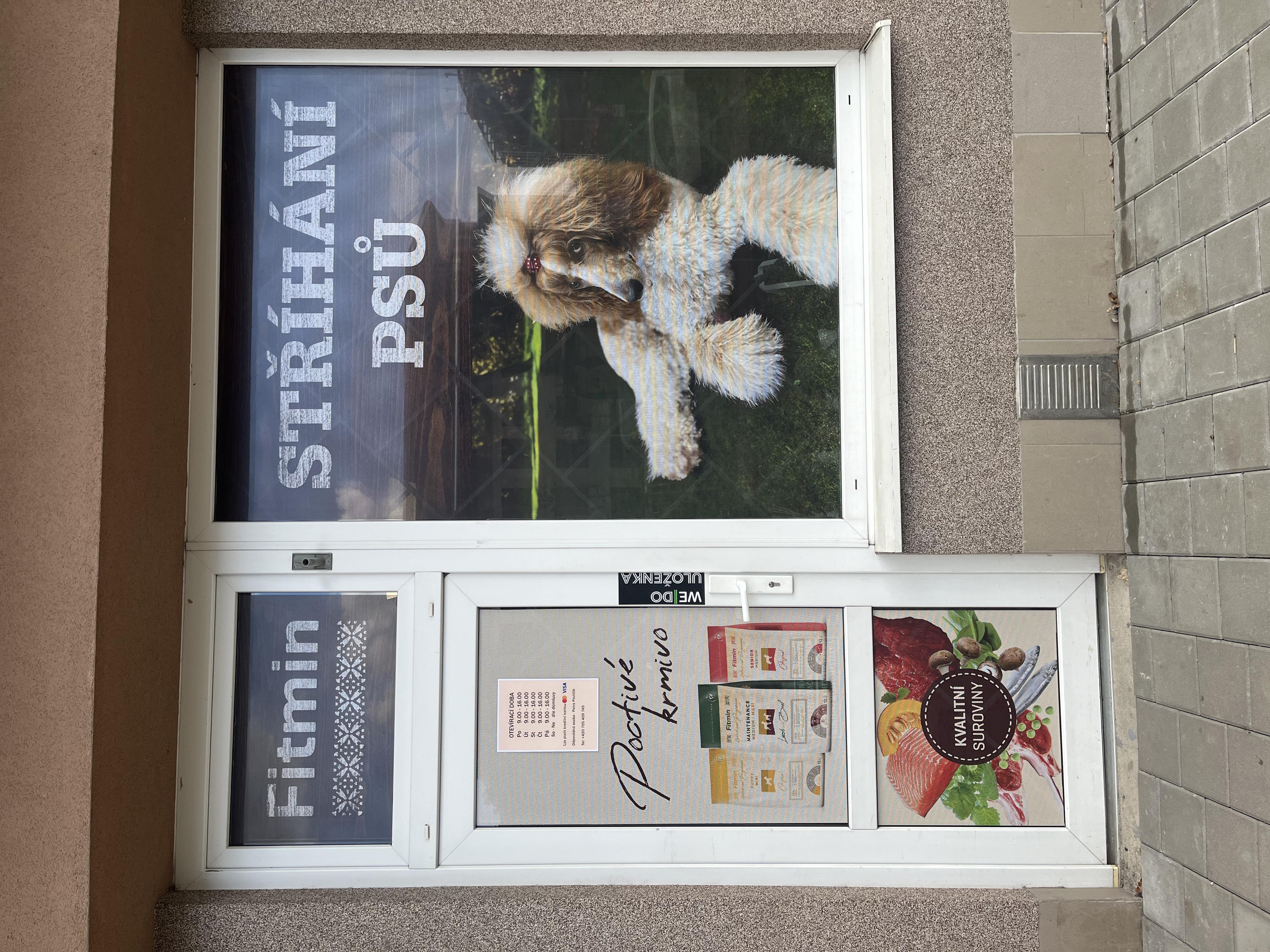 STŘÍHÁNÍ PSŮ - Petra Pavličík foto 2