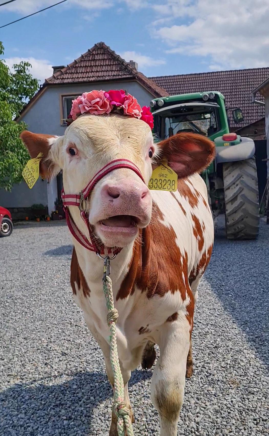 Ekofarma Nelepeč foto 6