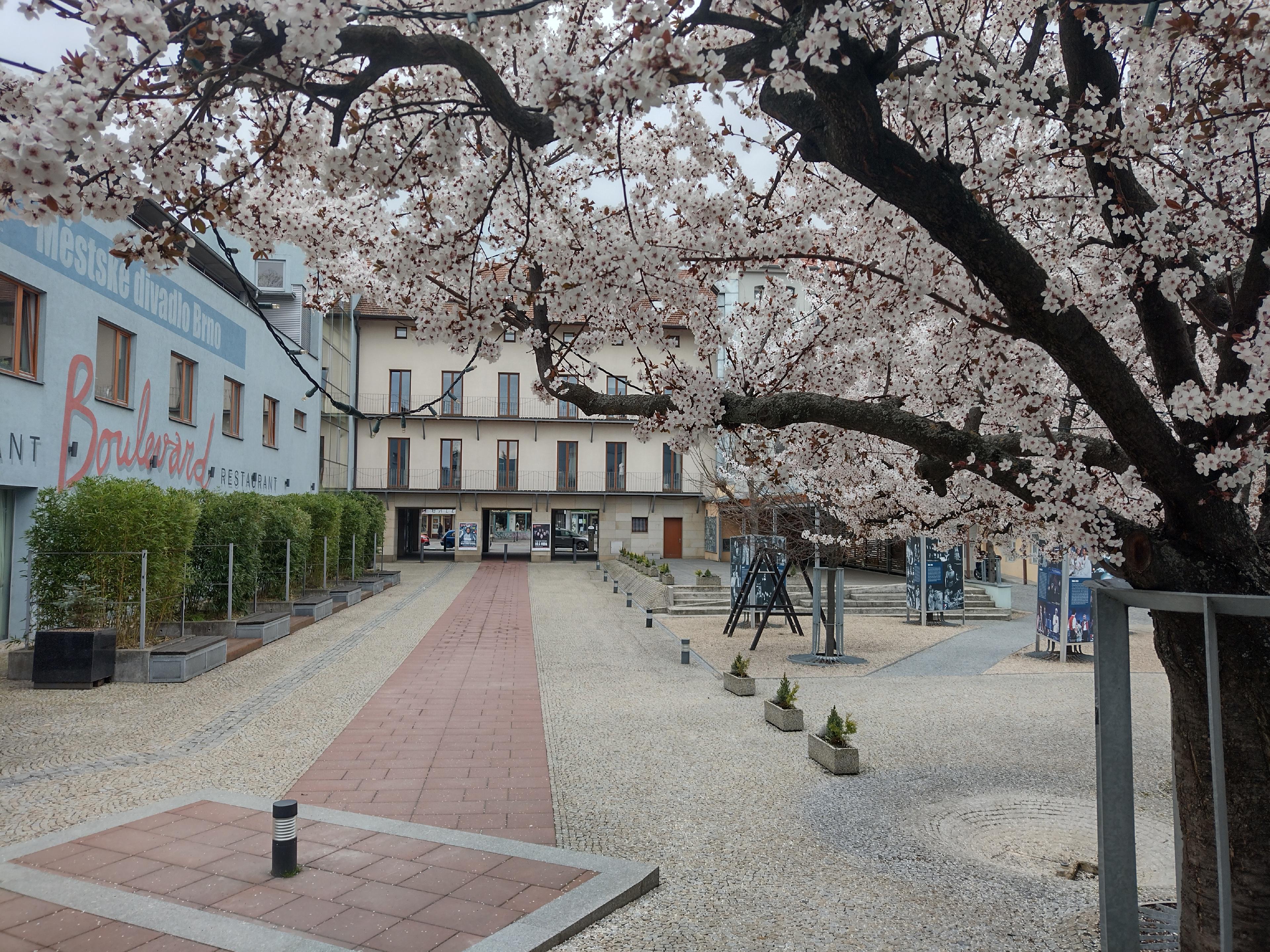 Městské divadlo Brno foto 5