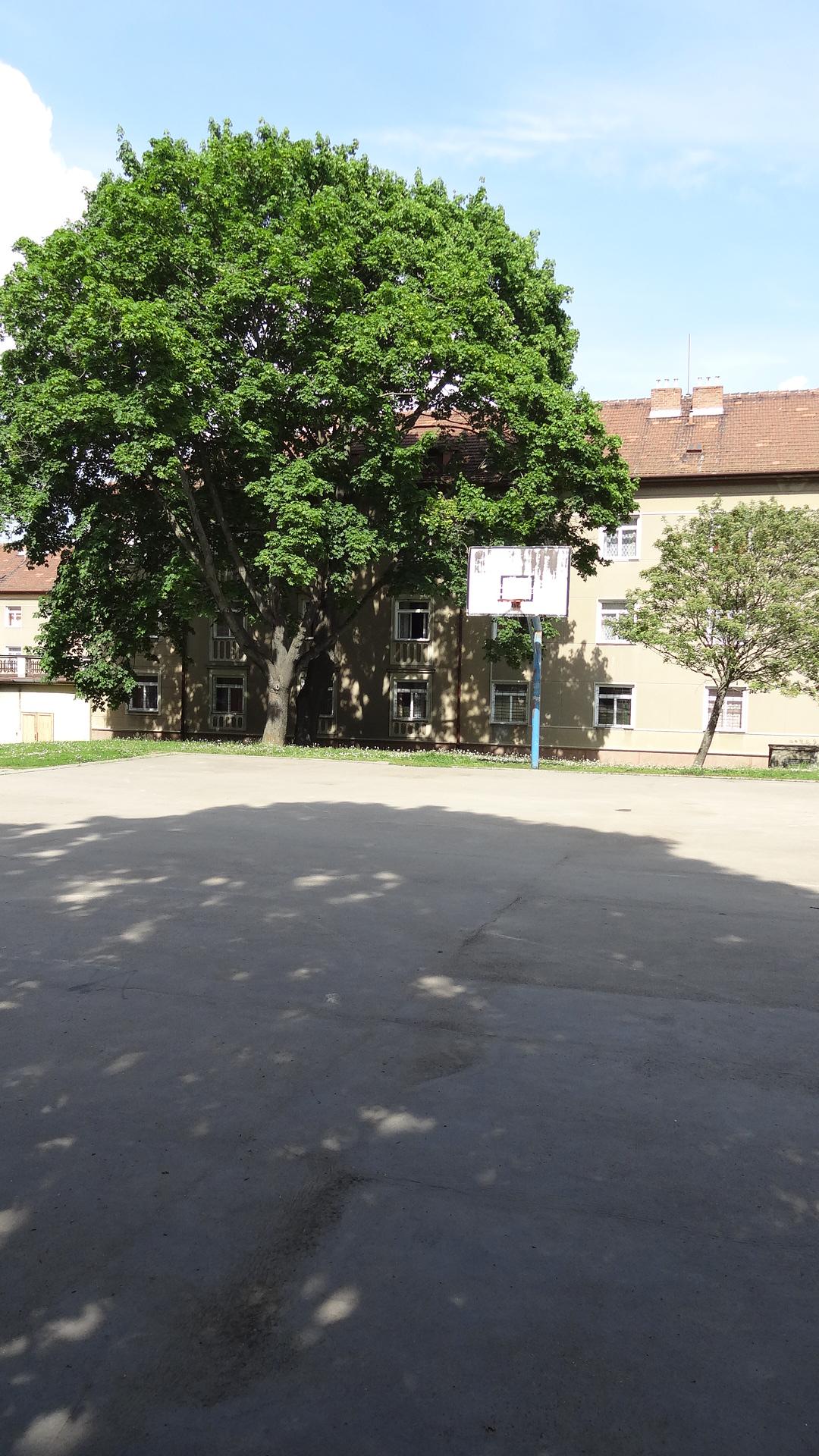 Koleje Mánesova - Masarykova univerzita foto 2