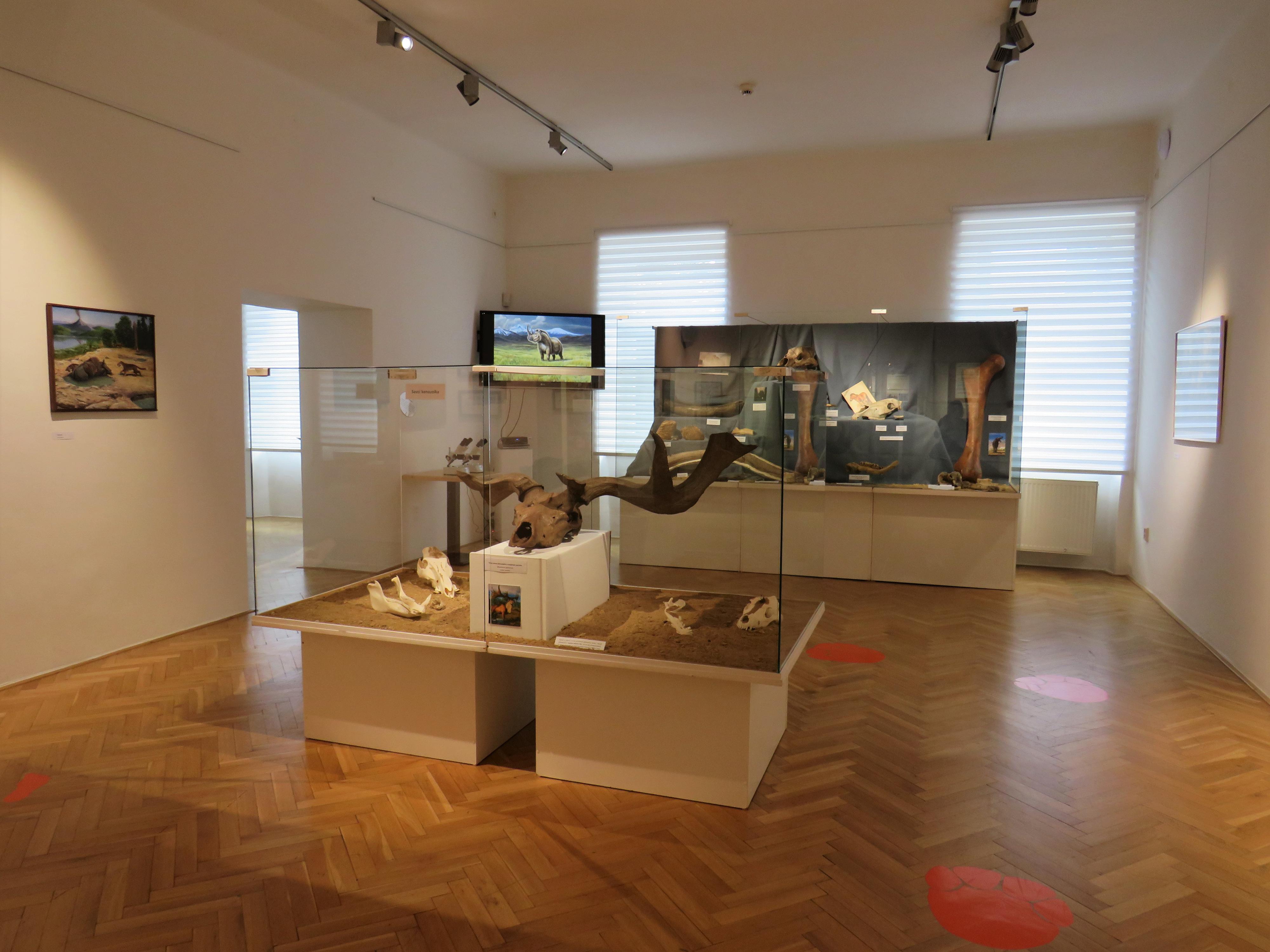 Městské muzeum a galerie ve Svitavách foto 5