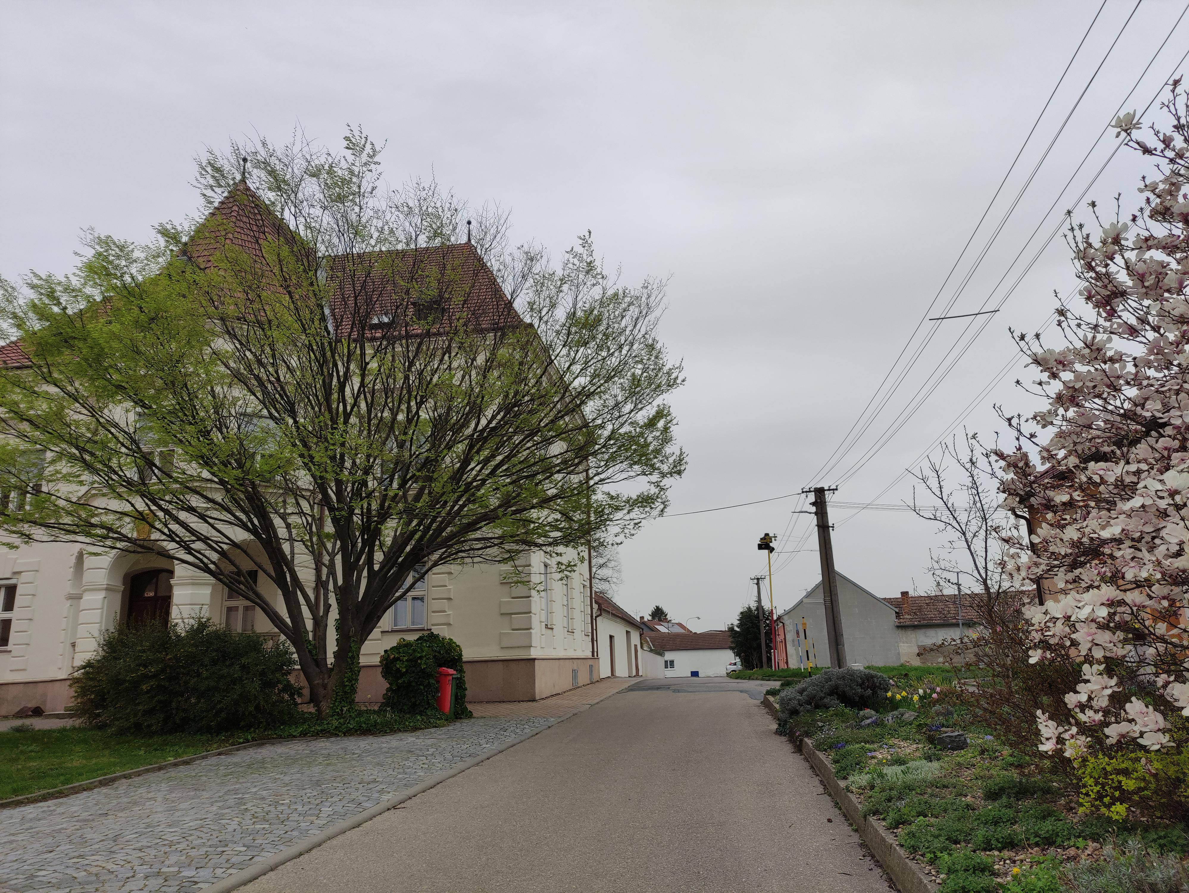 Římskokatolická farnost Velké Bílovice foto 3