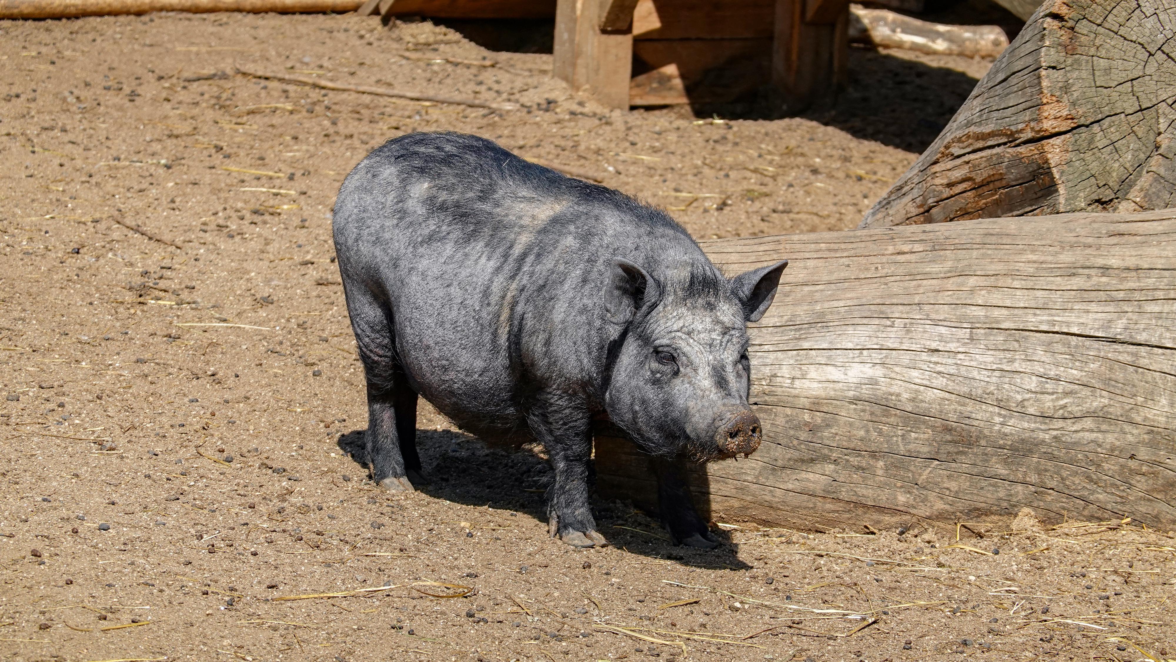 Rodinný Zookoutek Nová Říše z.s.
