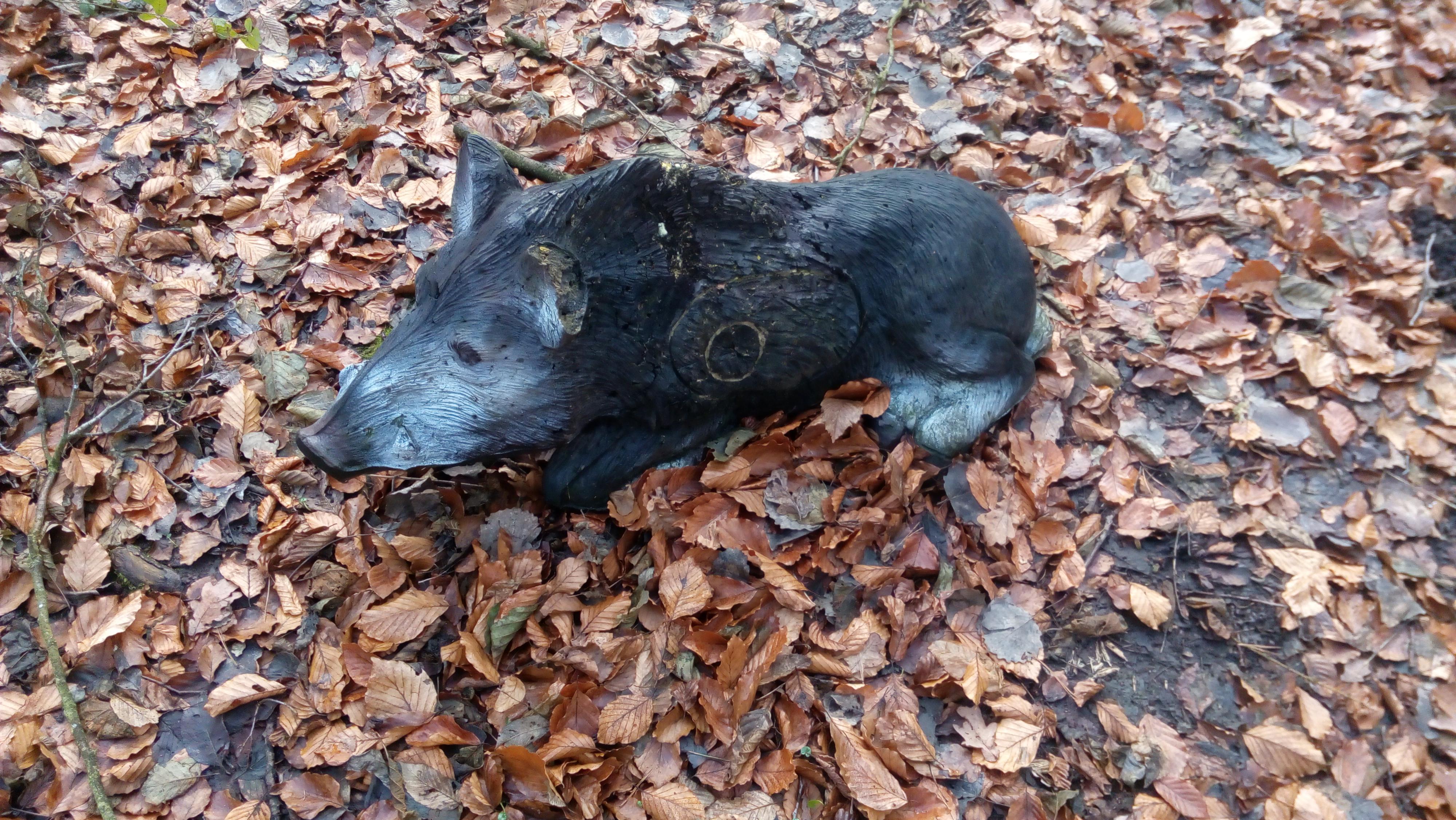 3D lukostřelecký parkur u Obročníků foto 2