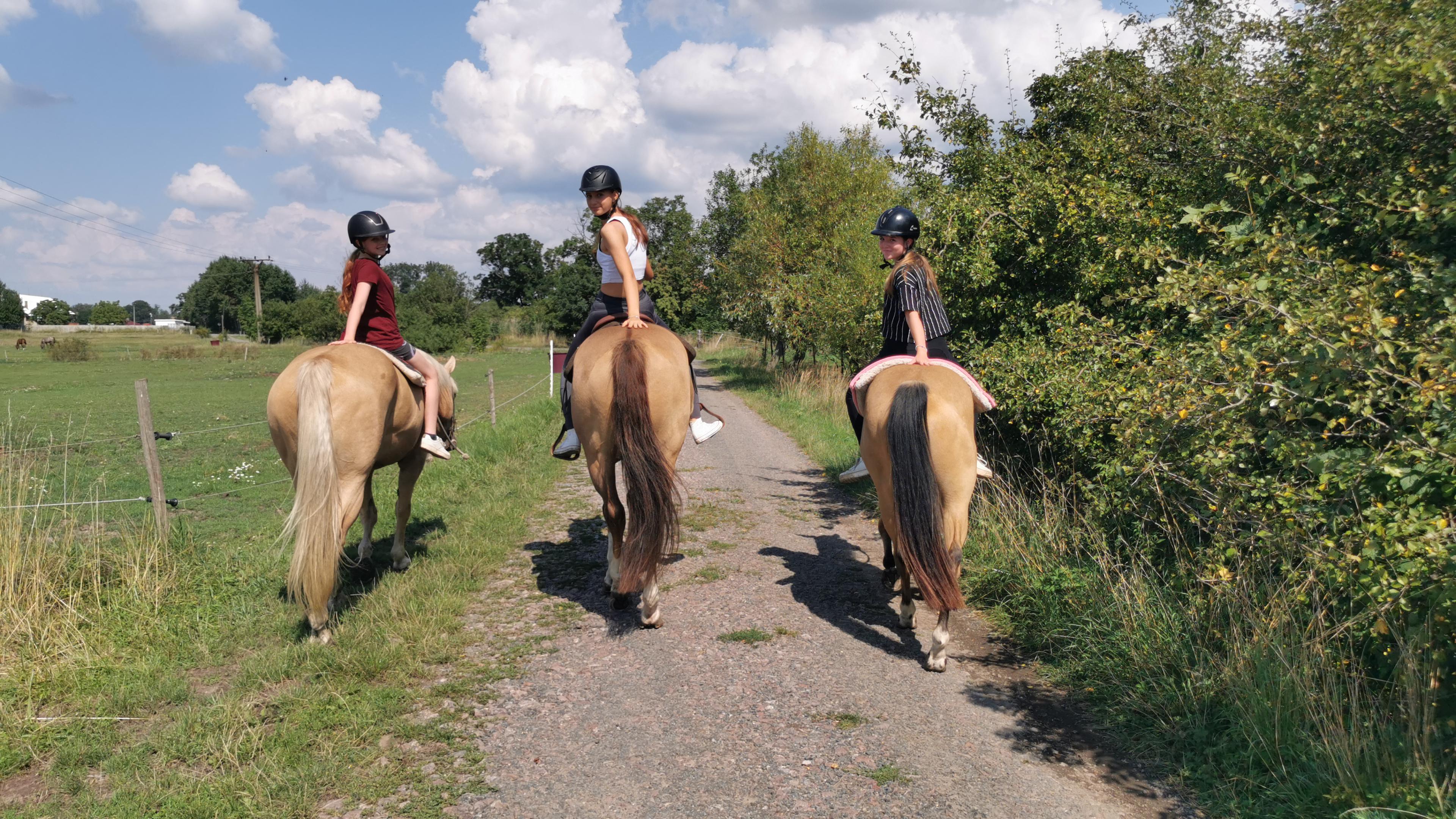 WesternFarm Alvero foto 3
