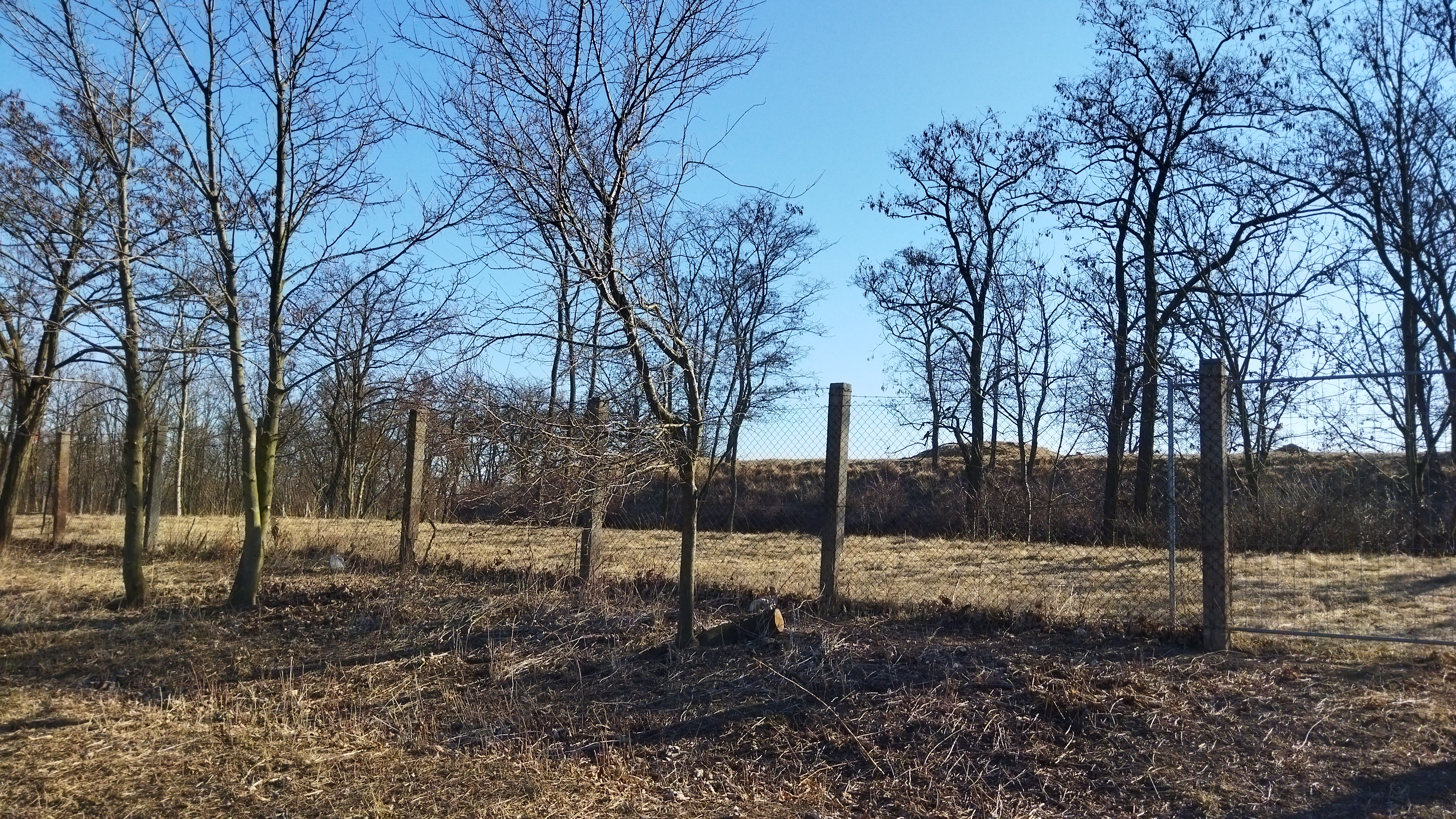 Muzeum Lagerfort XIII - Ziegelschlad foto 6