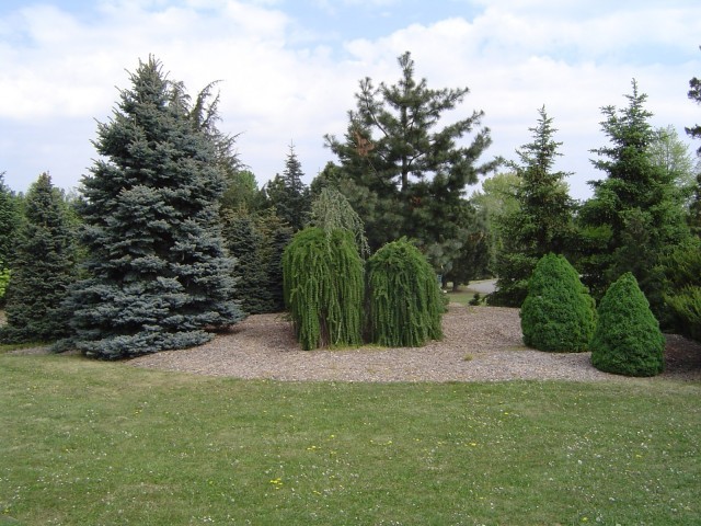 Dendrologická zahrada Průhonice