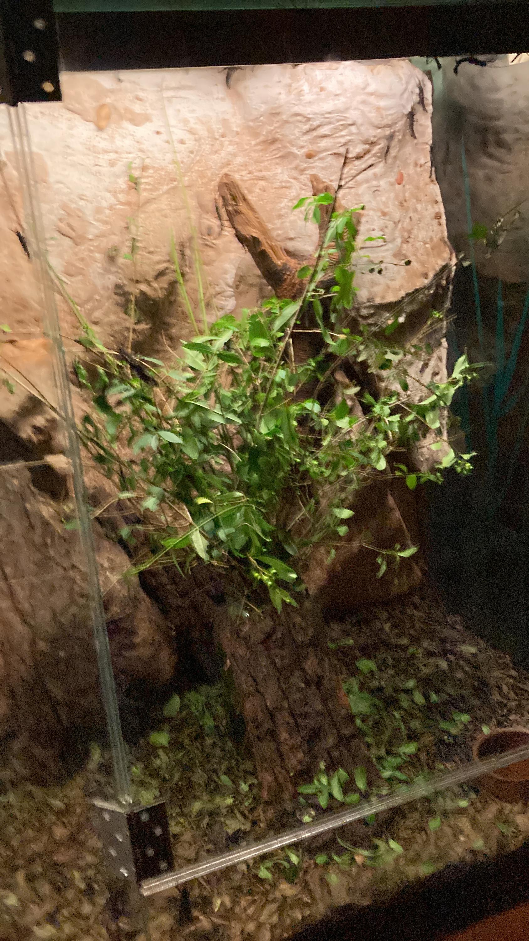 Galerie Zdeňka Buriana foto 6