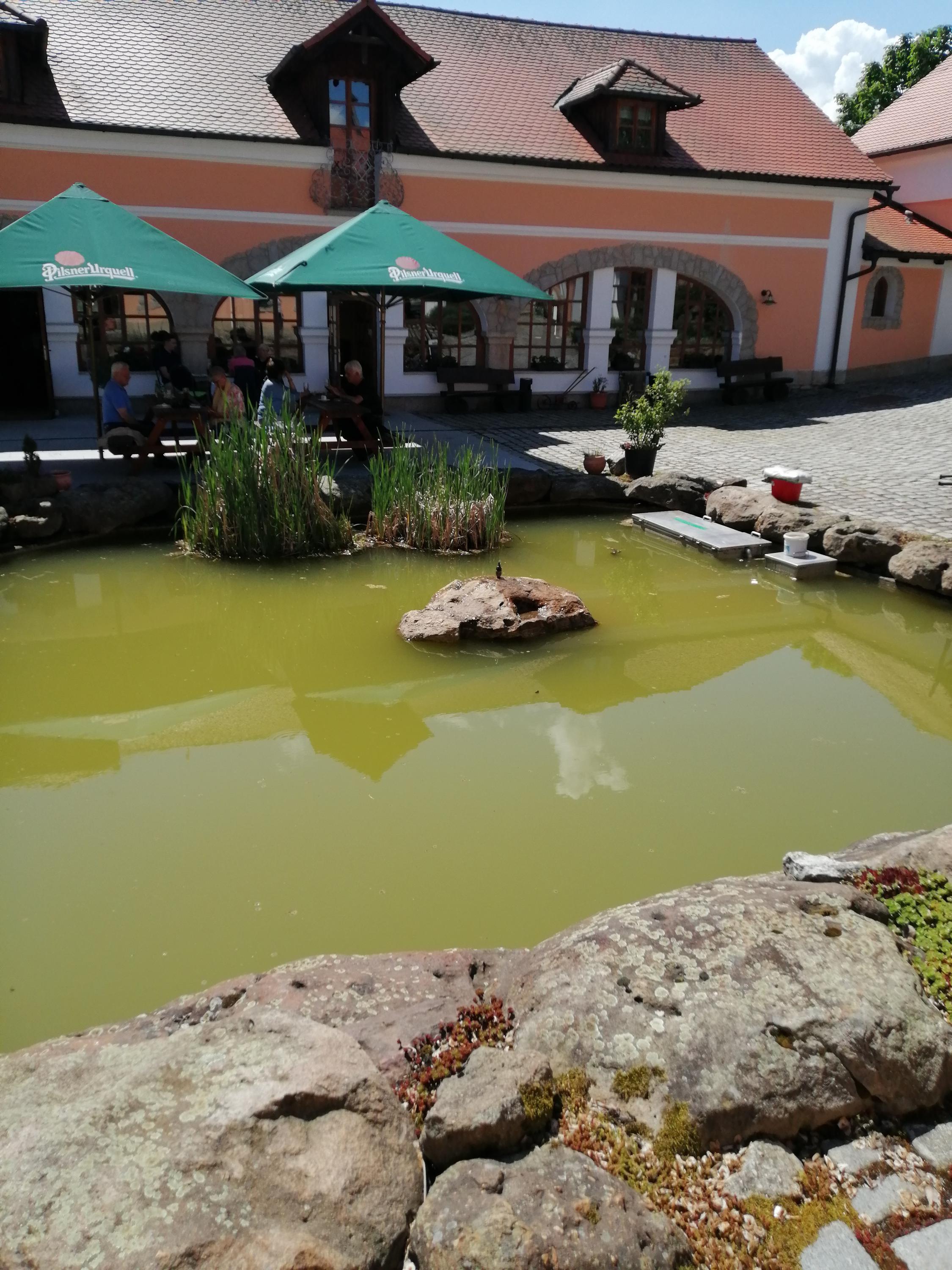 Restaurace U Špejcharu foto 5