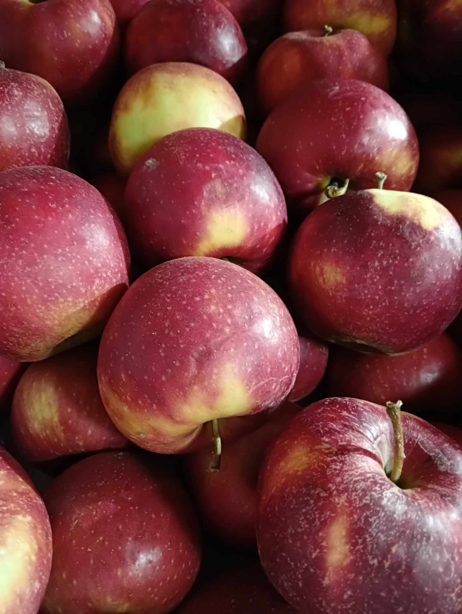 Ovoce Zelenina Školská foto 6