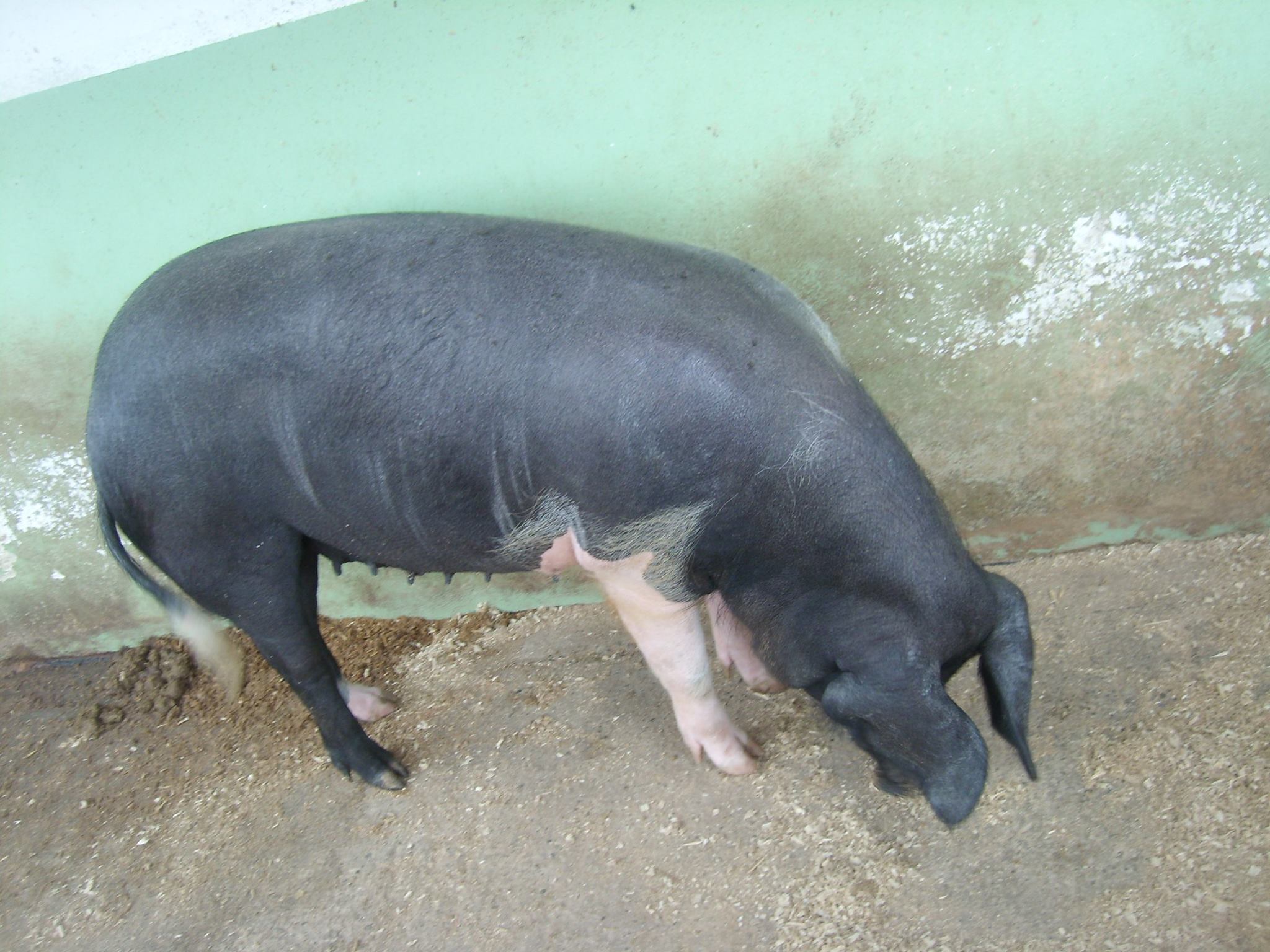 ZOO PARK Vyškov foto 5