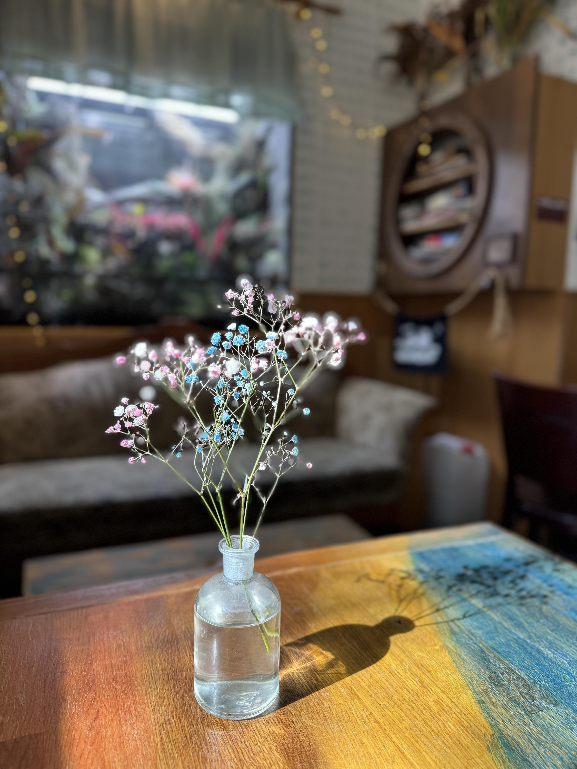 Studenský klub Mrtvá Ryba foto 6