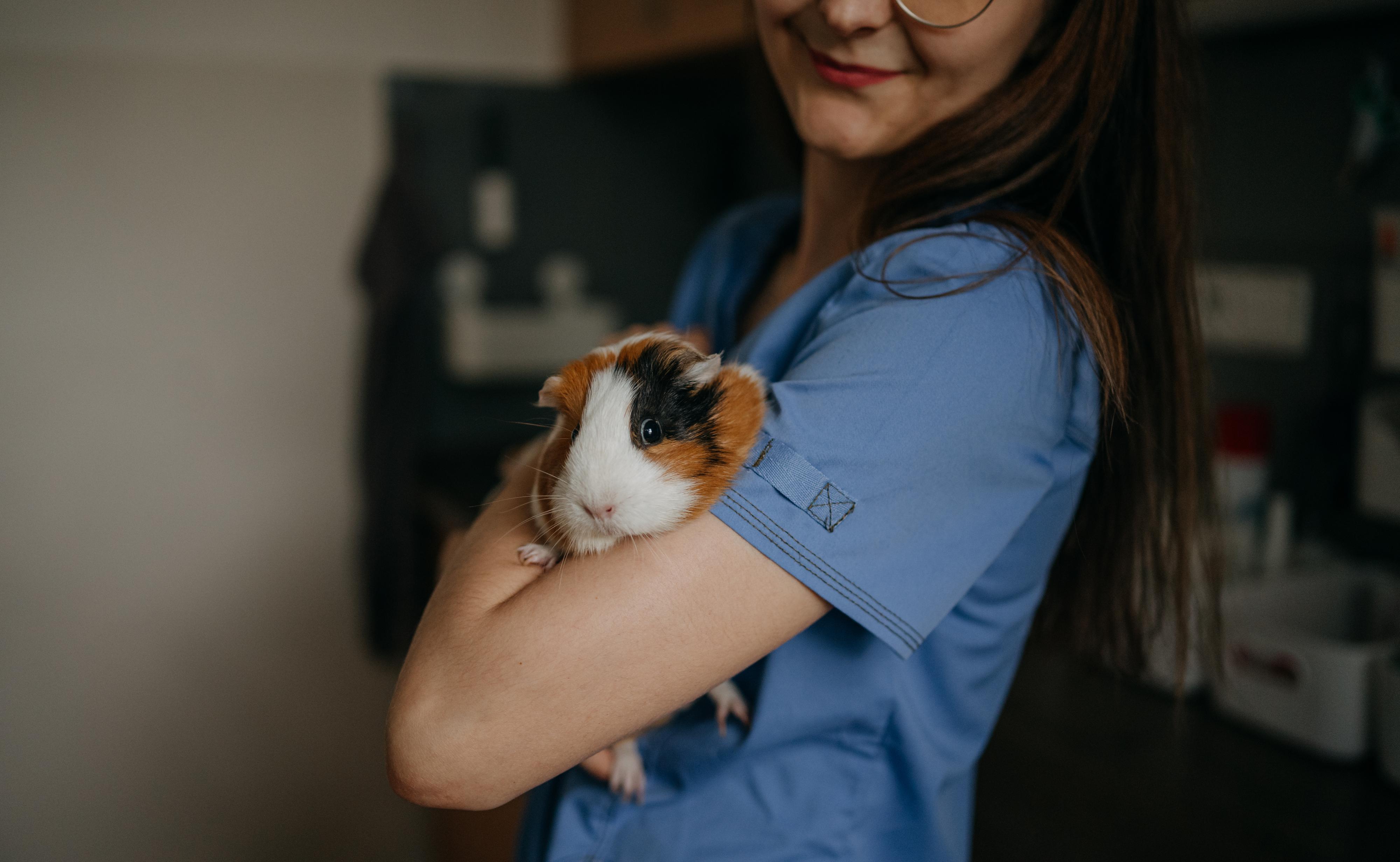 Veterinární ordinace ExoCare, MVDr. Kristýna Pouzar Pokrupová foto 4
