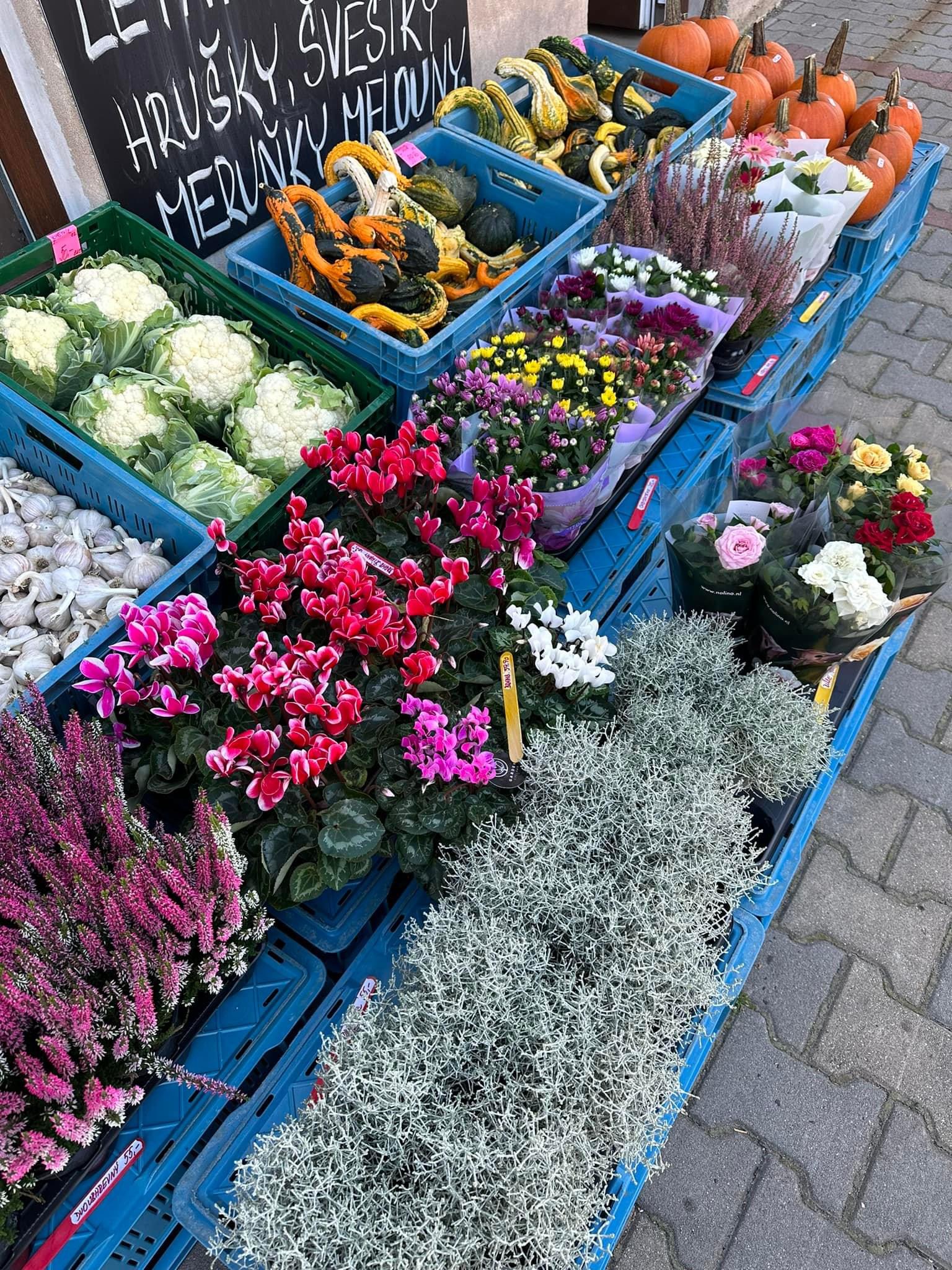 Ovoce Zelenina Velké Hamry foto 3