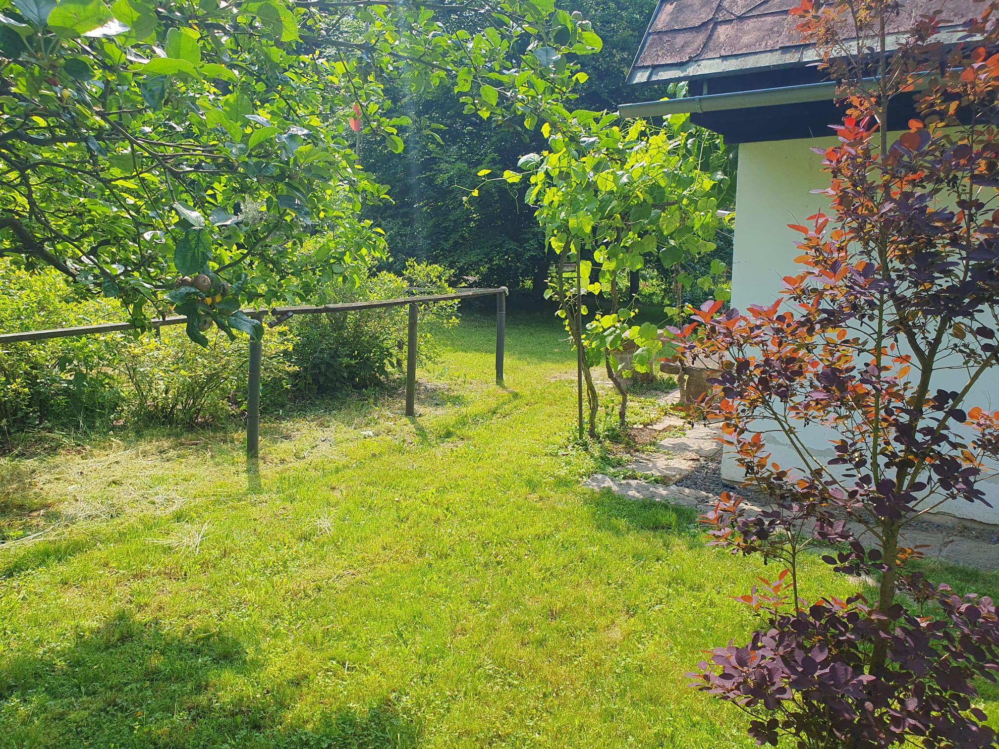 Chata U slepé kočky foto 6