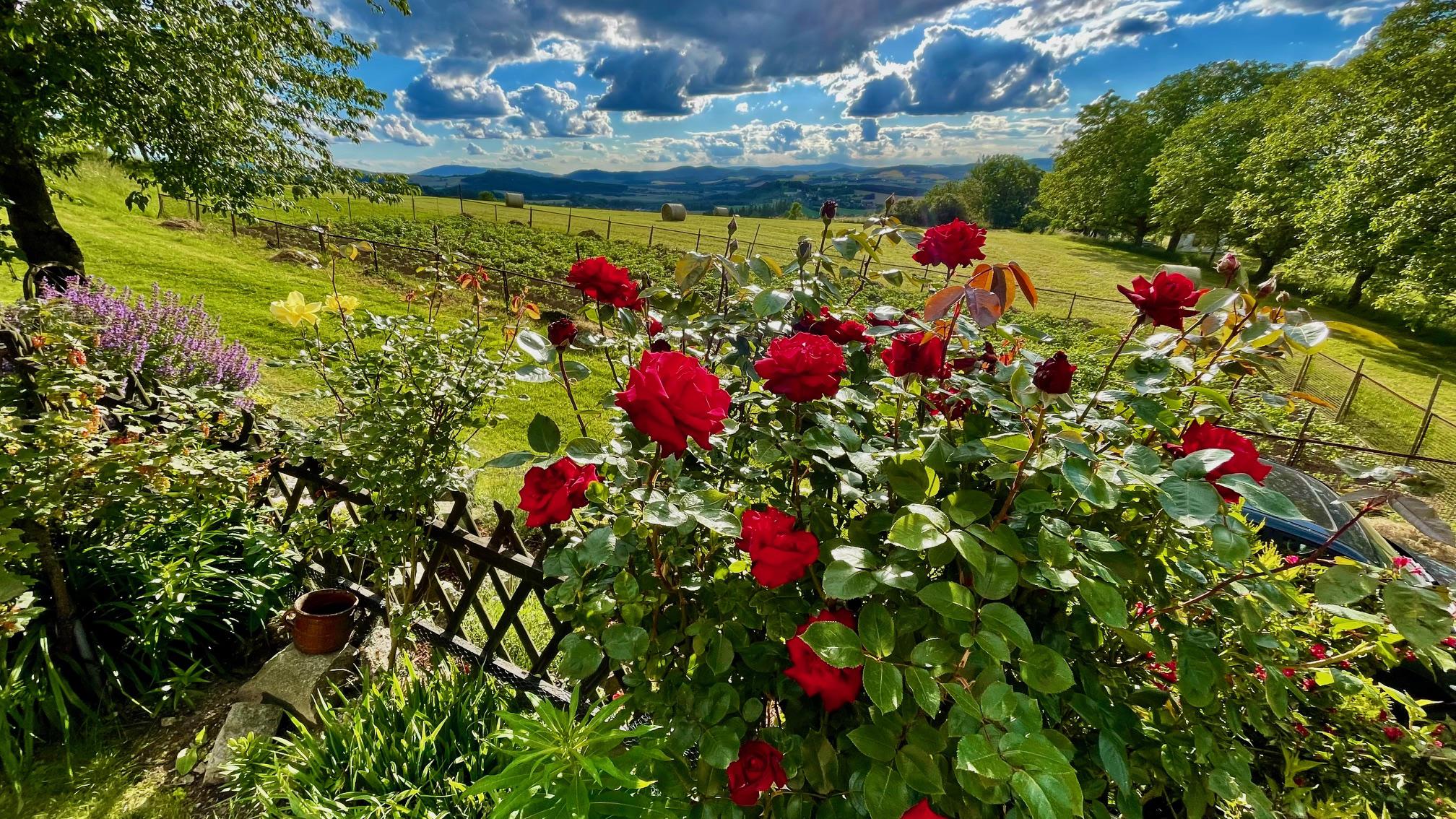 Chaloupka u Lízy foto 3