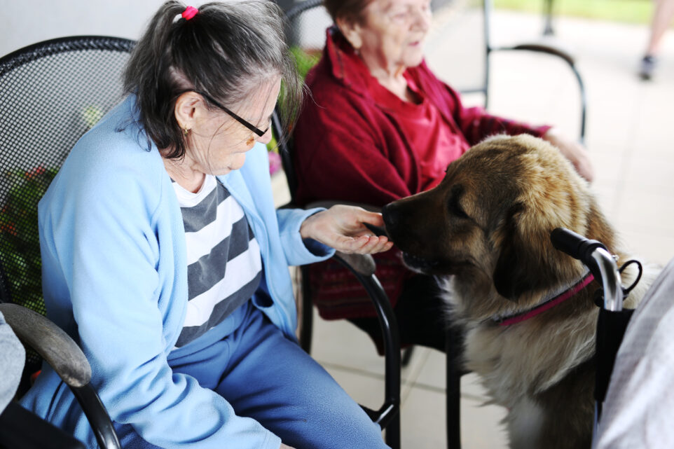 Senevida Loucký Mlýn foto 5