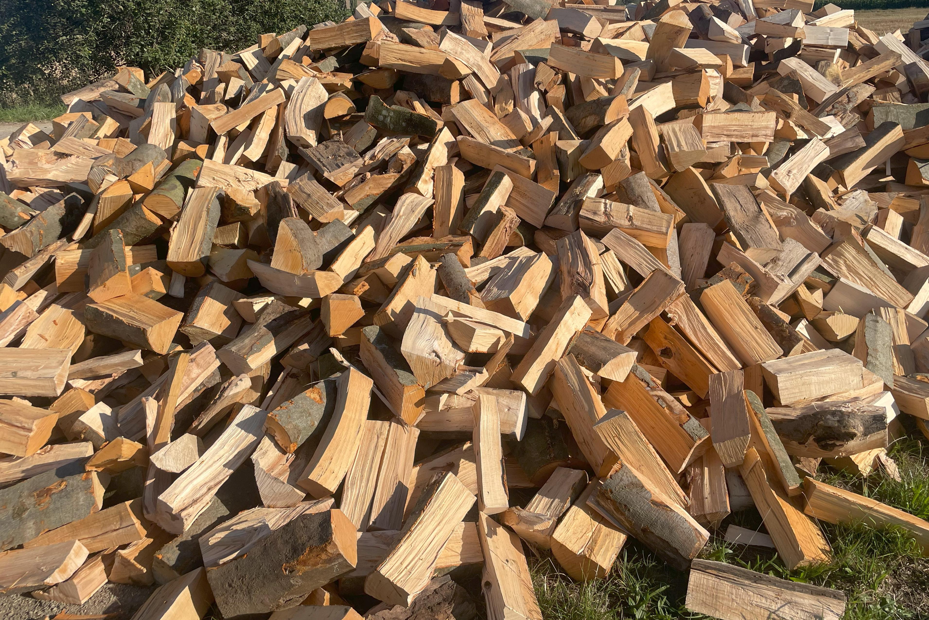 Buk štípaný na polínka (loučky)