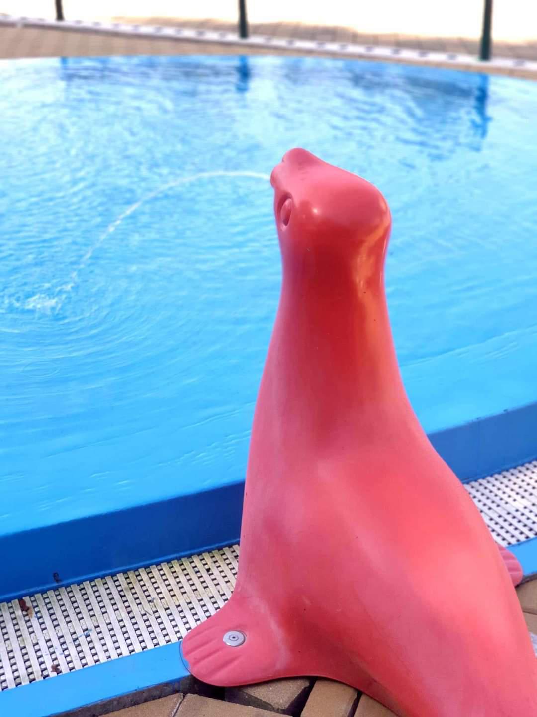 Mullers bistro & koupaliště Juliánov foto 4