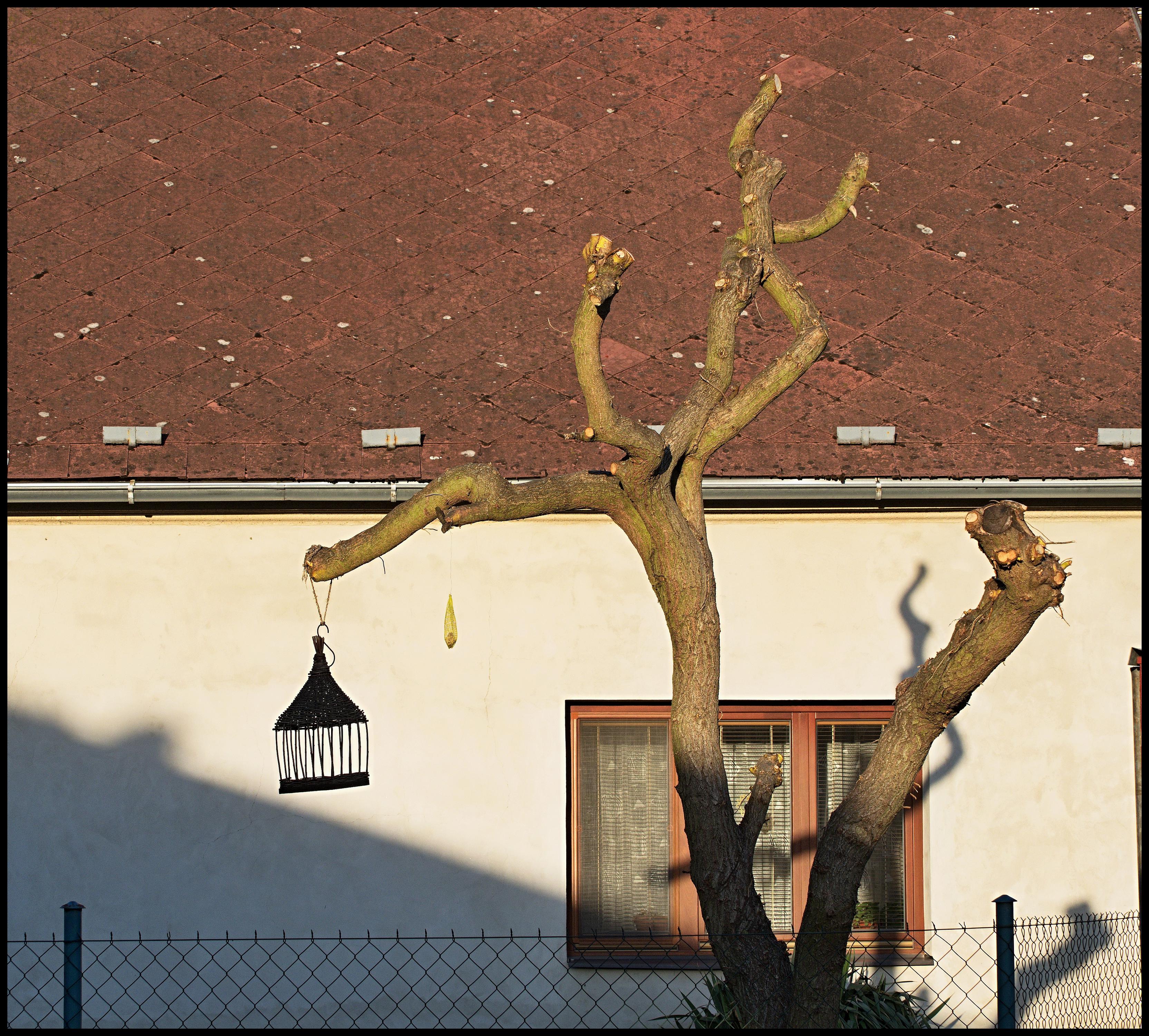 SH ČMS - Sbor dobrovolných hasičů Zbořený Kostelec foto 1