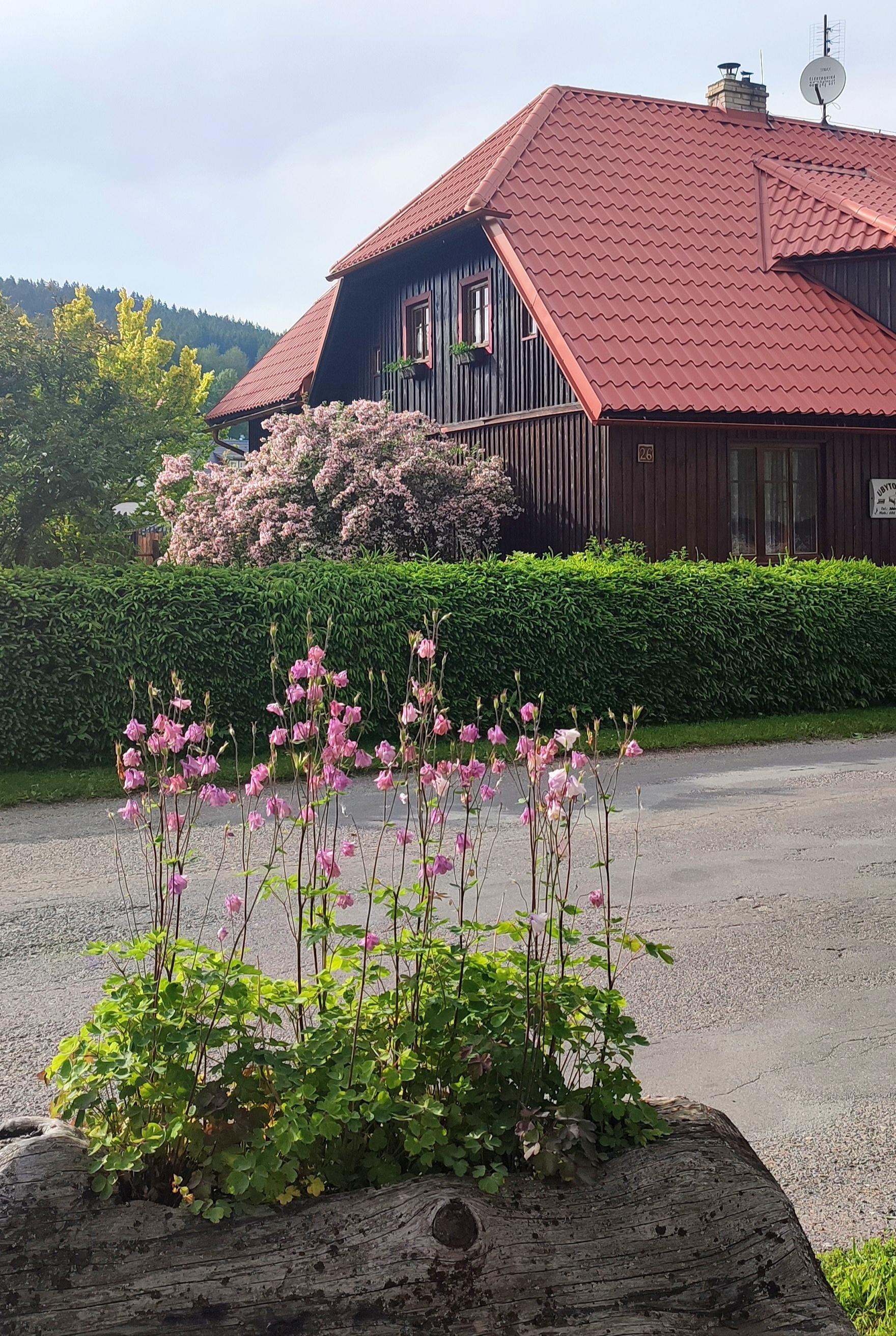 U Jiříků foto 2