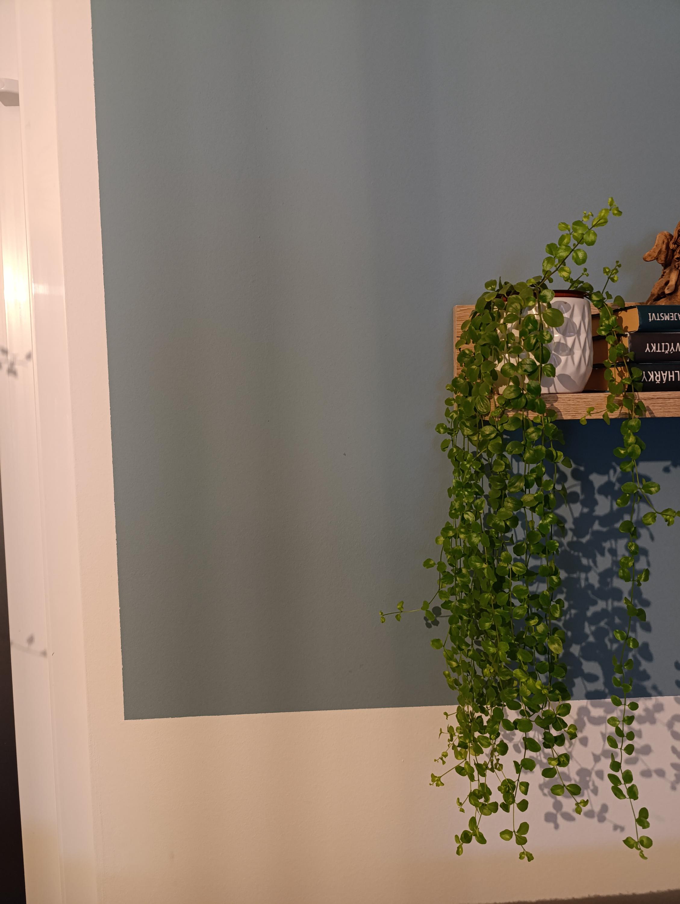 Michal Babák - Malířské práce foto 5