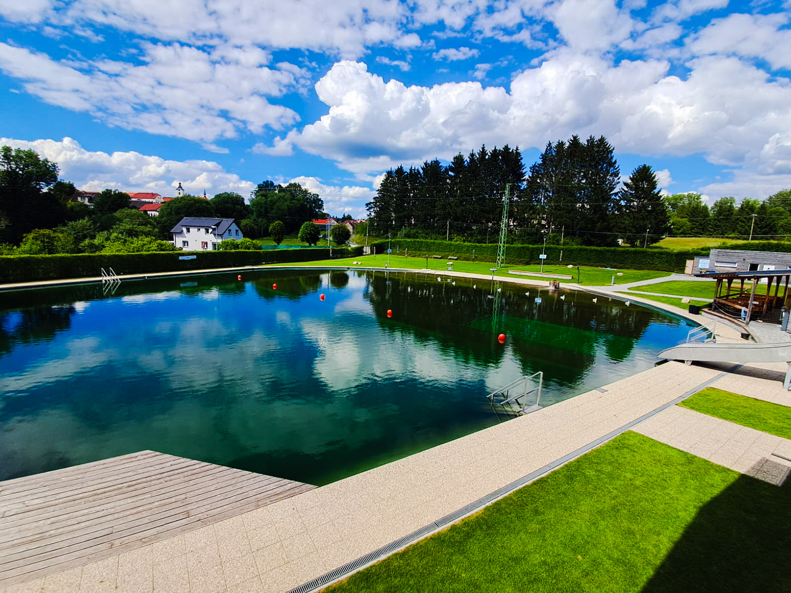 Přírodní koupaliště Divišov foto 4