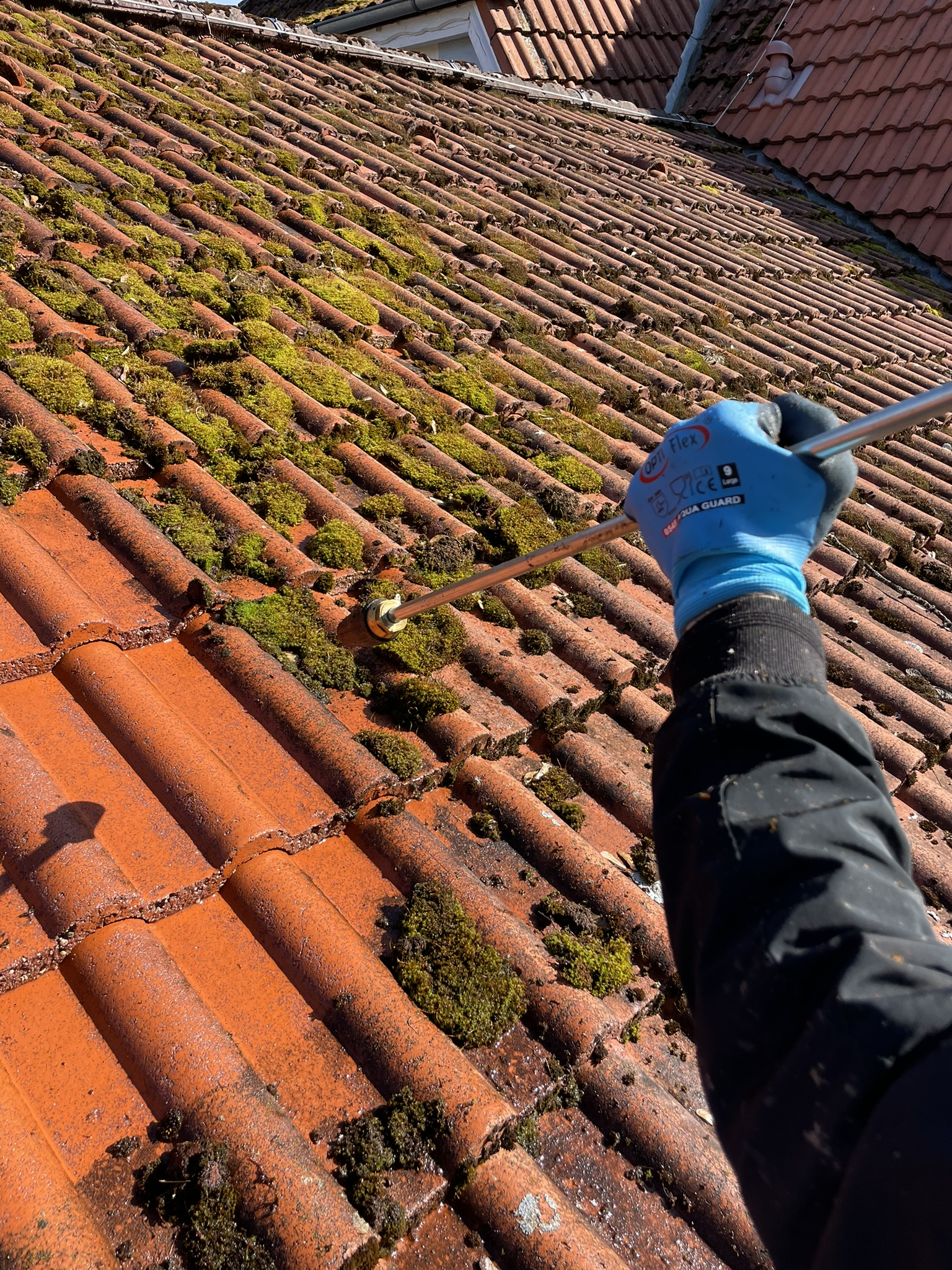 Aleš Kostohryz - čištění střech a povrchů foto 2