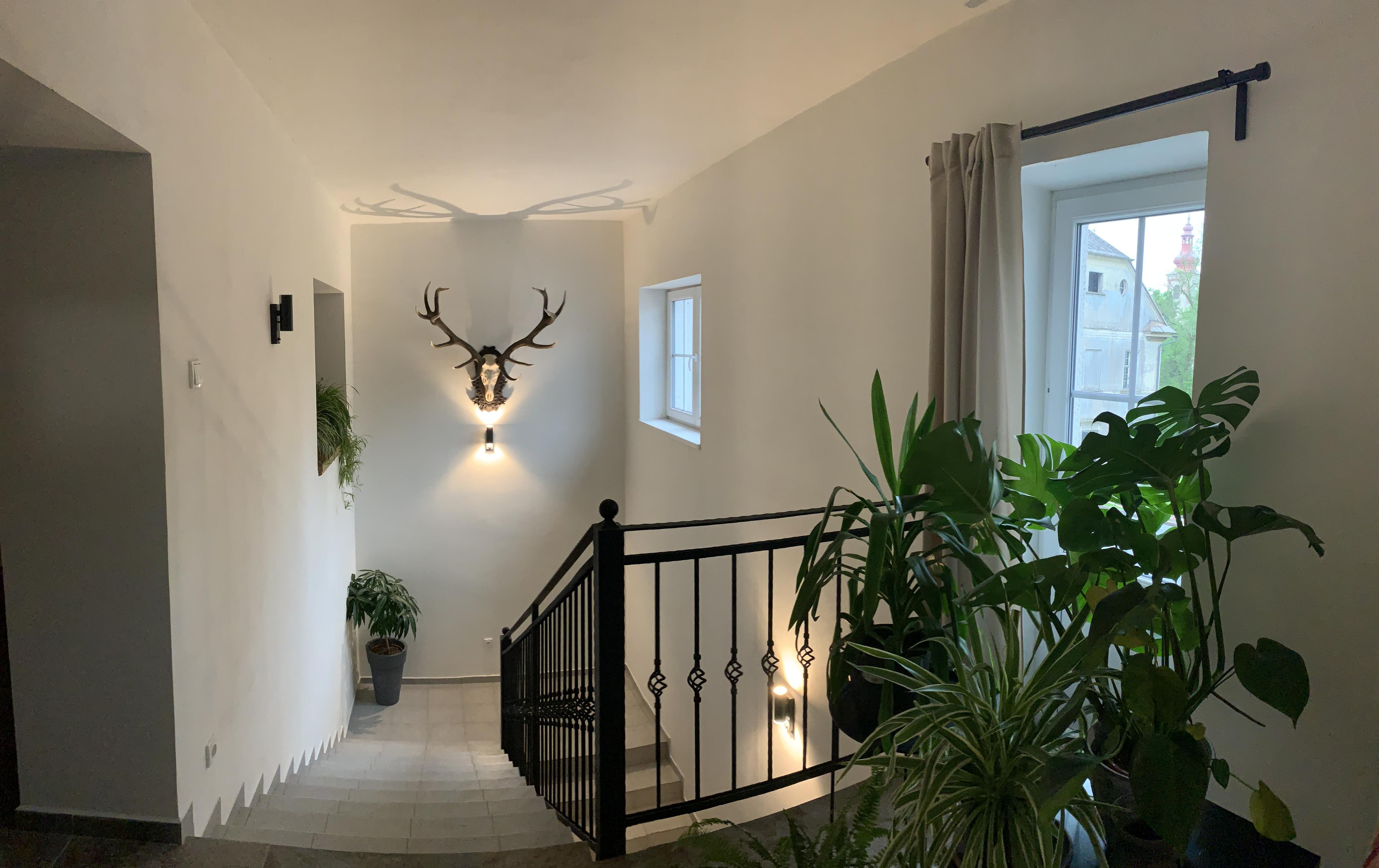 Penzion Wiesen foto 5