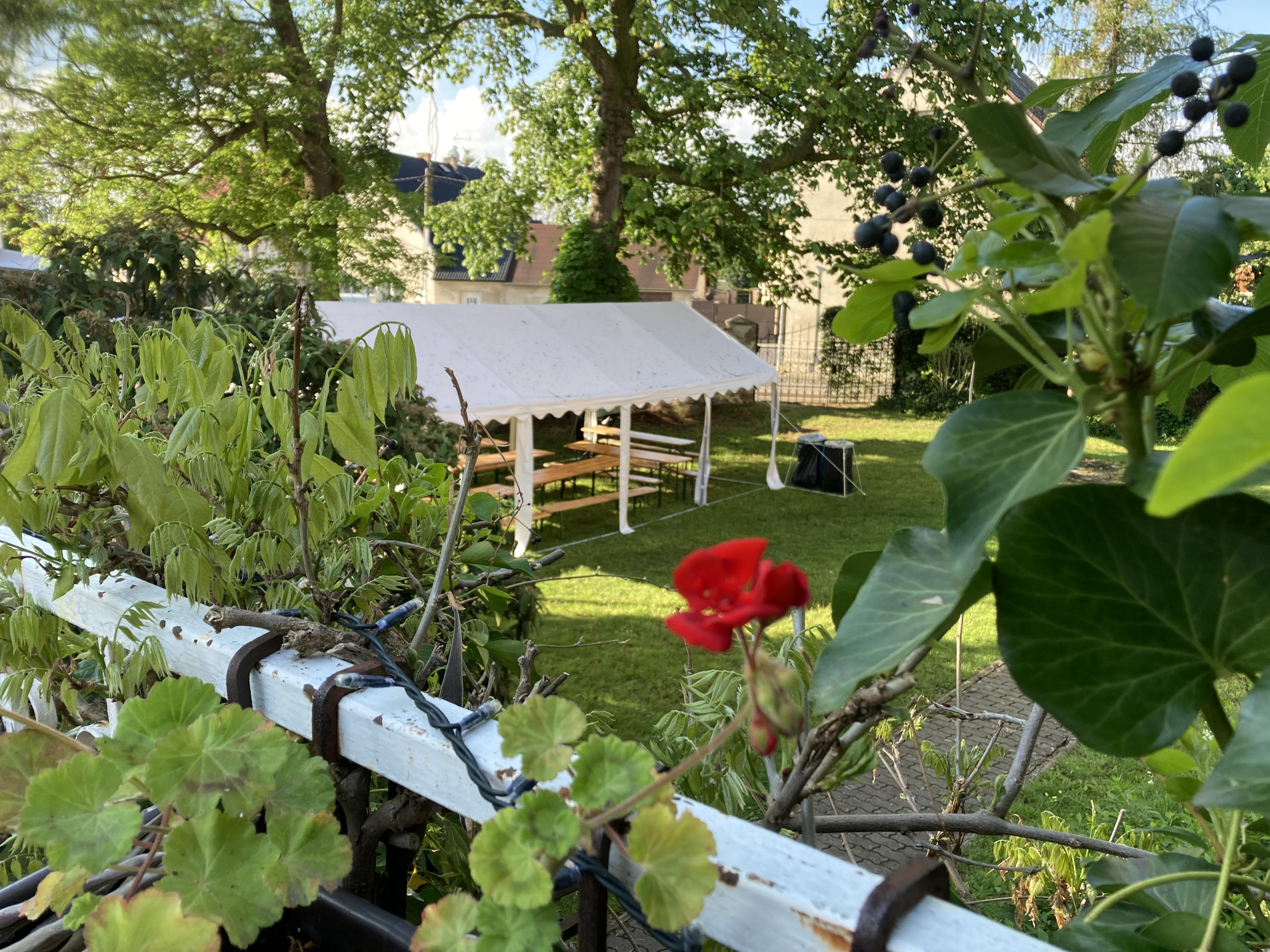 Pedikúra - Salon M foto 3