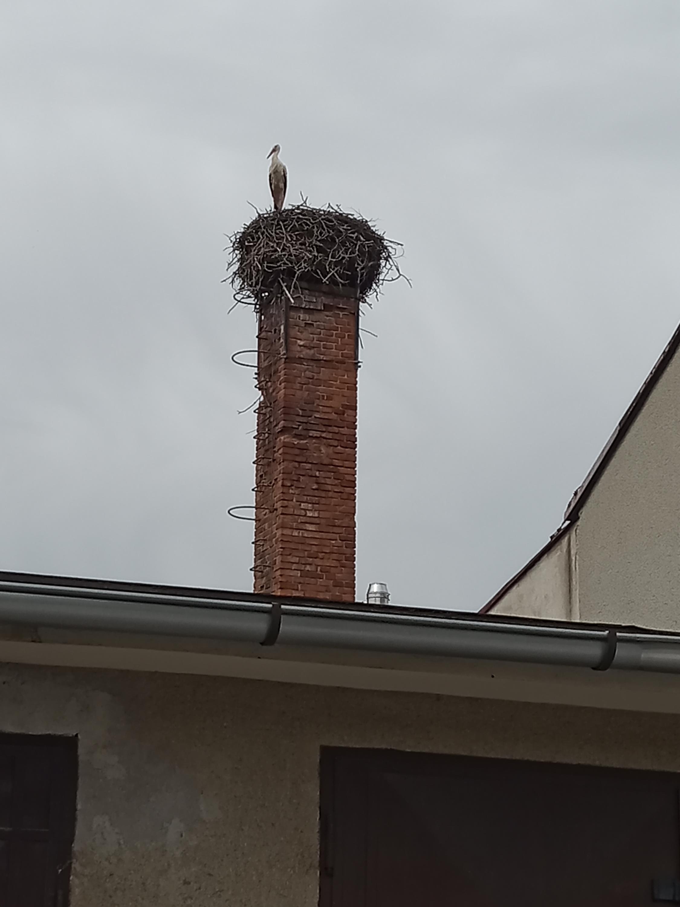 AgroCzechia.cz foto 2
