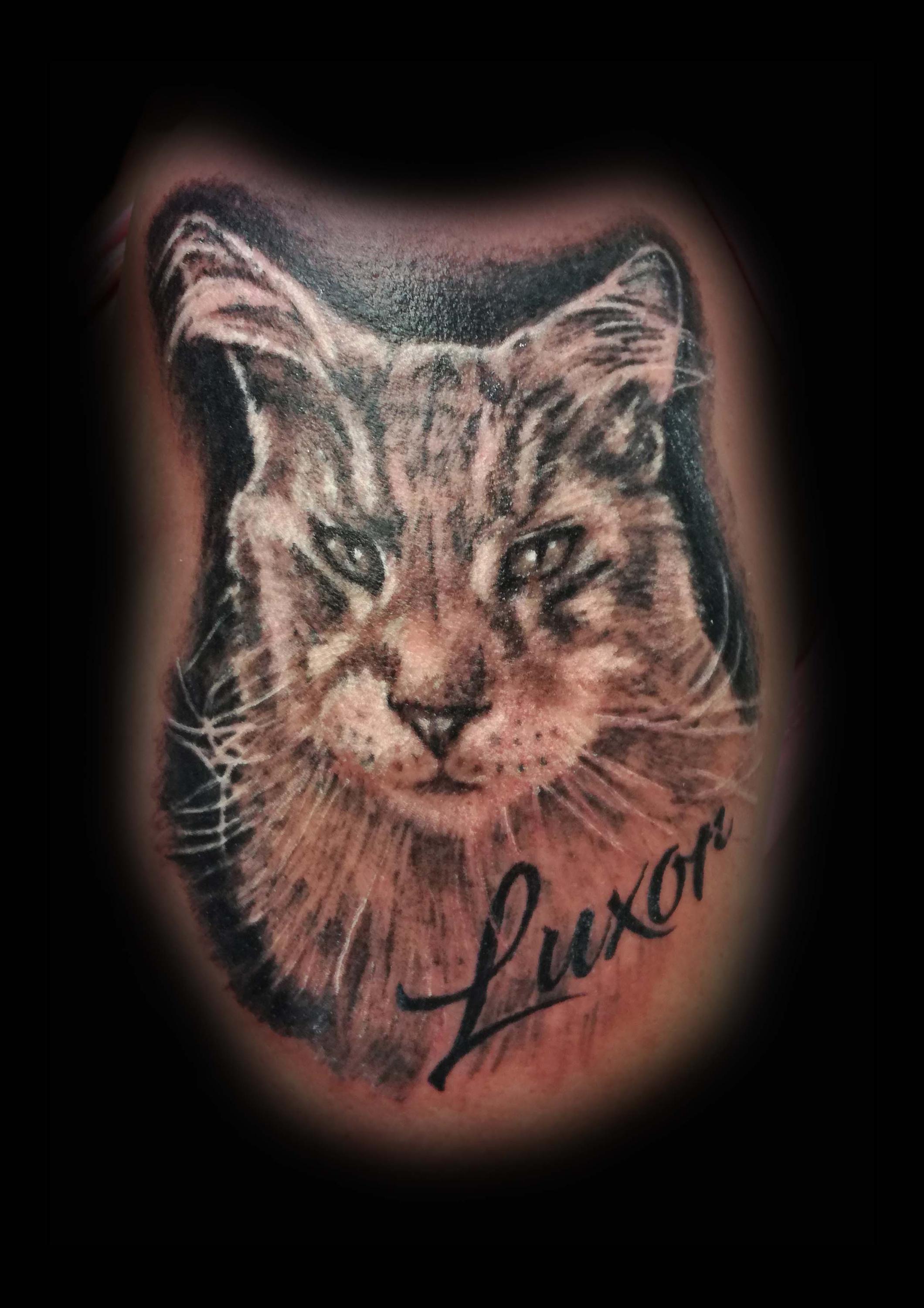 Moravia Tattoo foto 4