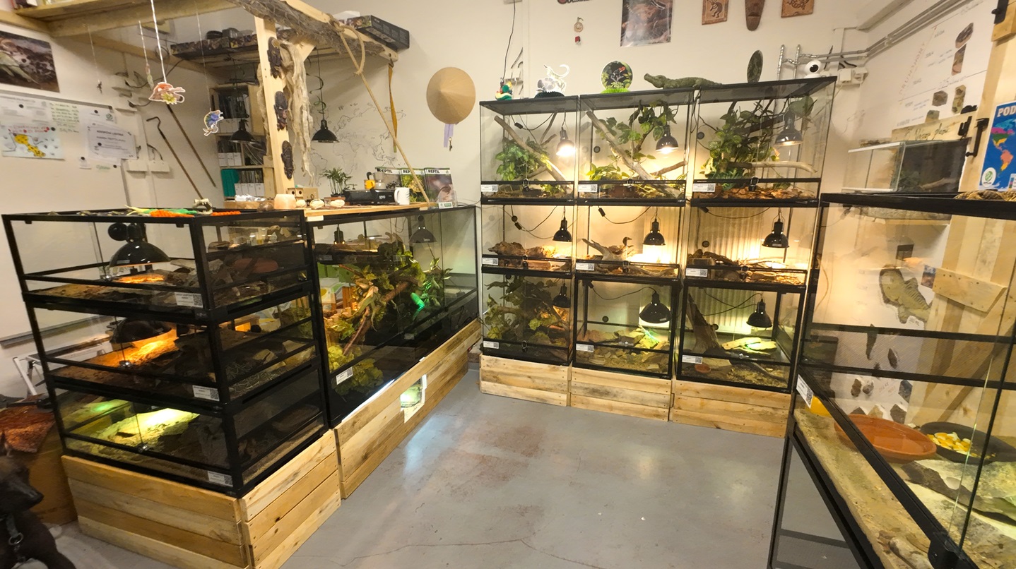 REPTILclub