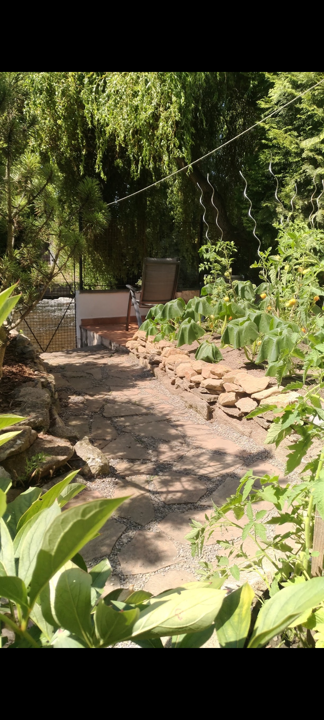 Apartmán Baron foto 6