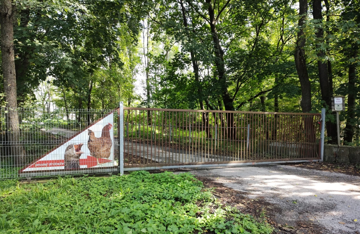 Prodej drůbeže a krmiv Jiří Gazda foto 5