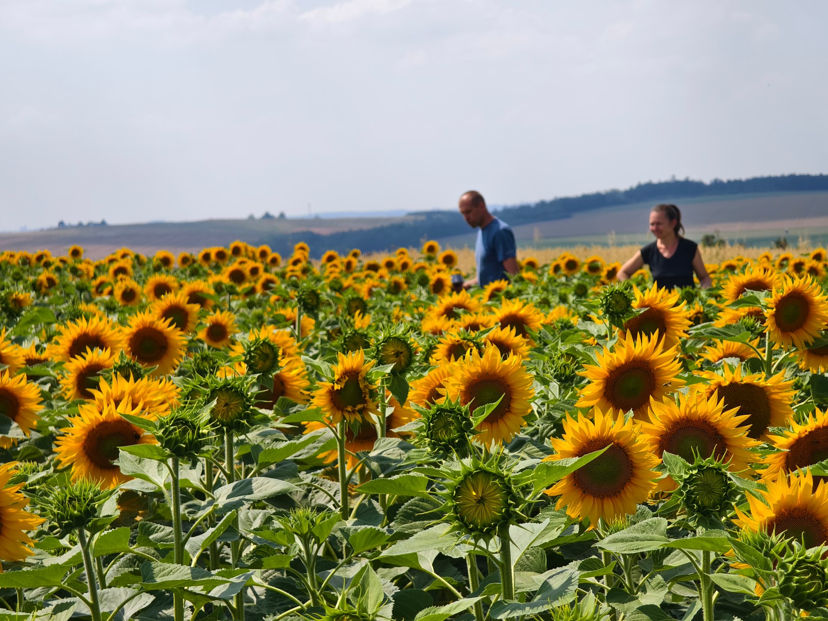 Farma Markových foto 2