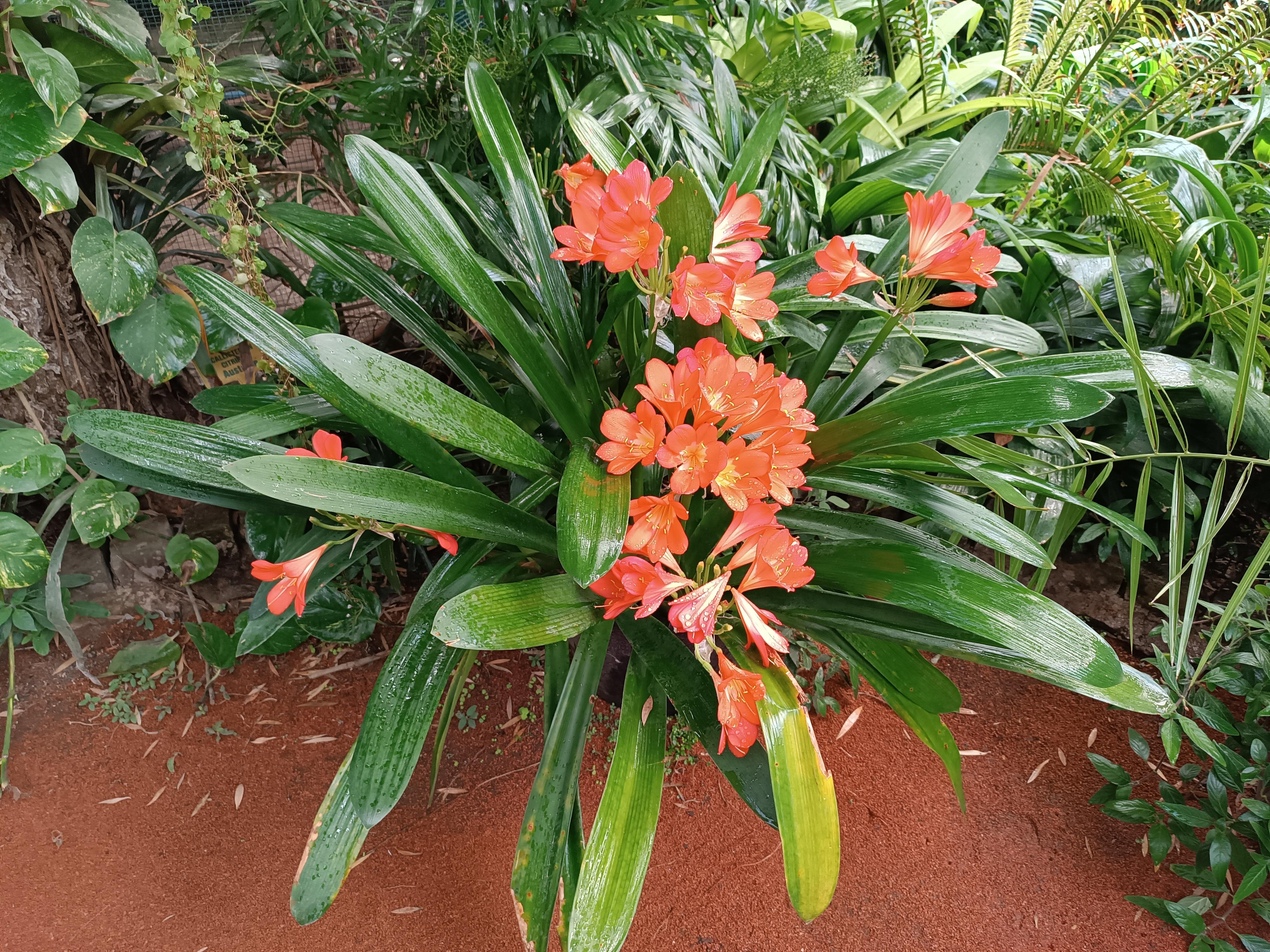 Zimní zahrada Nemocnice TGM Hodonín foto 4