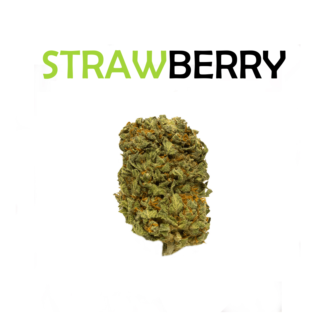 Realitní makléř Filip Hron foto 1