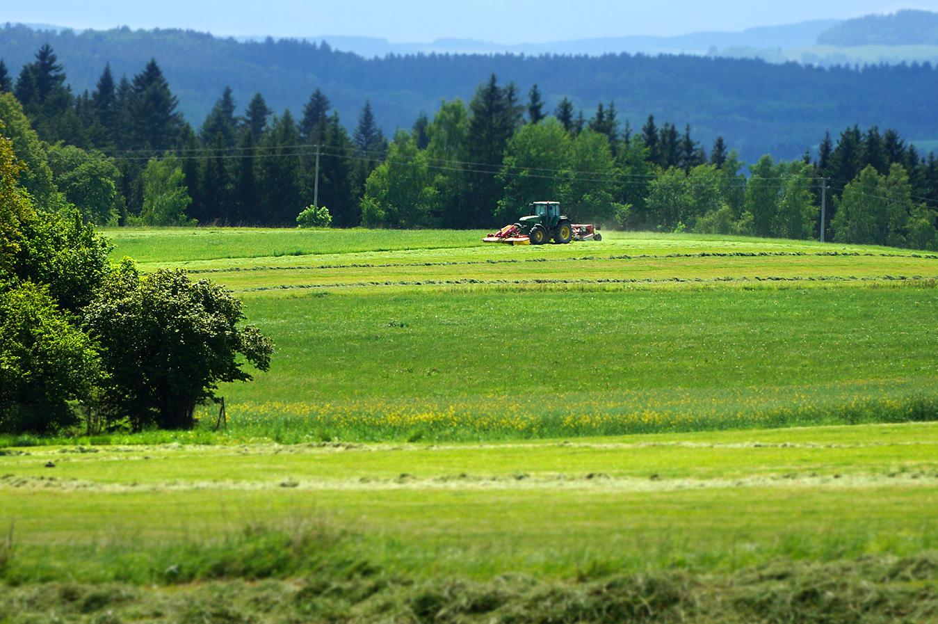 Zemědělské družstvo Ločenice
